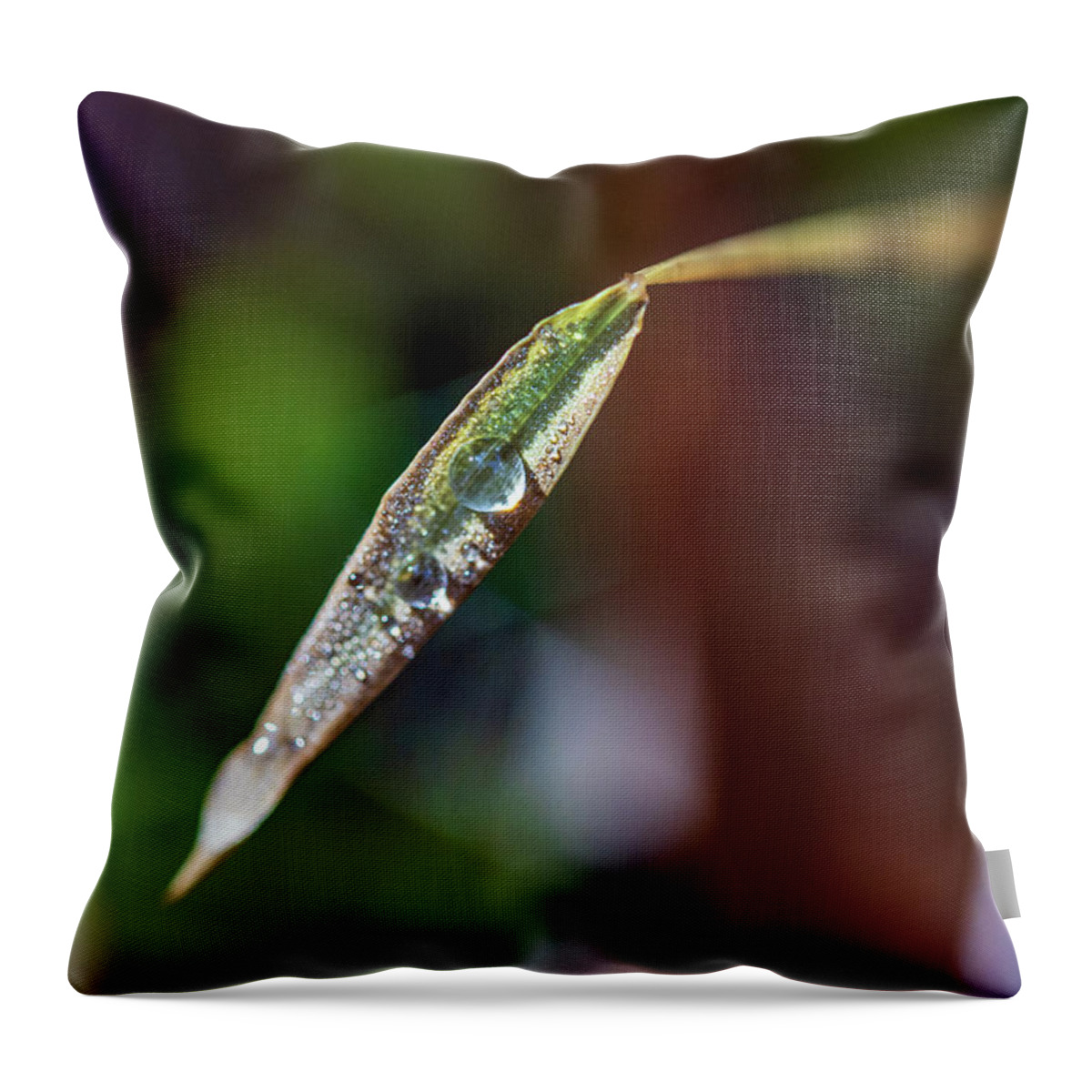 Nature Throw Pillow featuring the photograph Dew Drops on a Leaf by Amelia Pearn