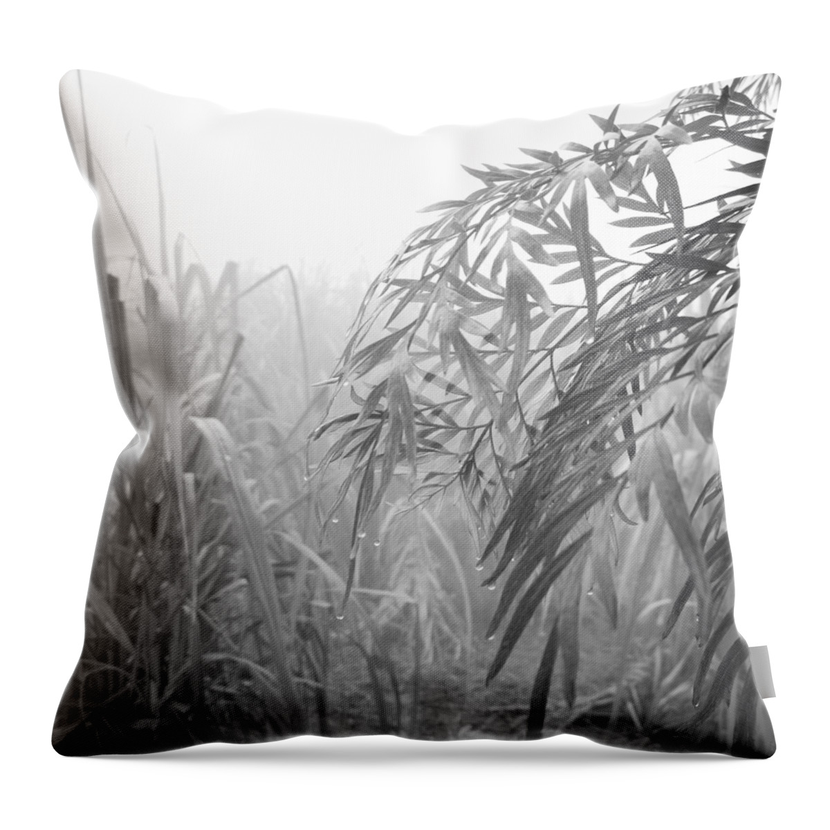 Rural Photography Throw Pillow featuring the photograph Dew's drops by Jarek Filipowicz