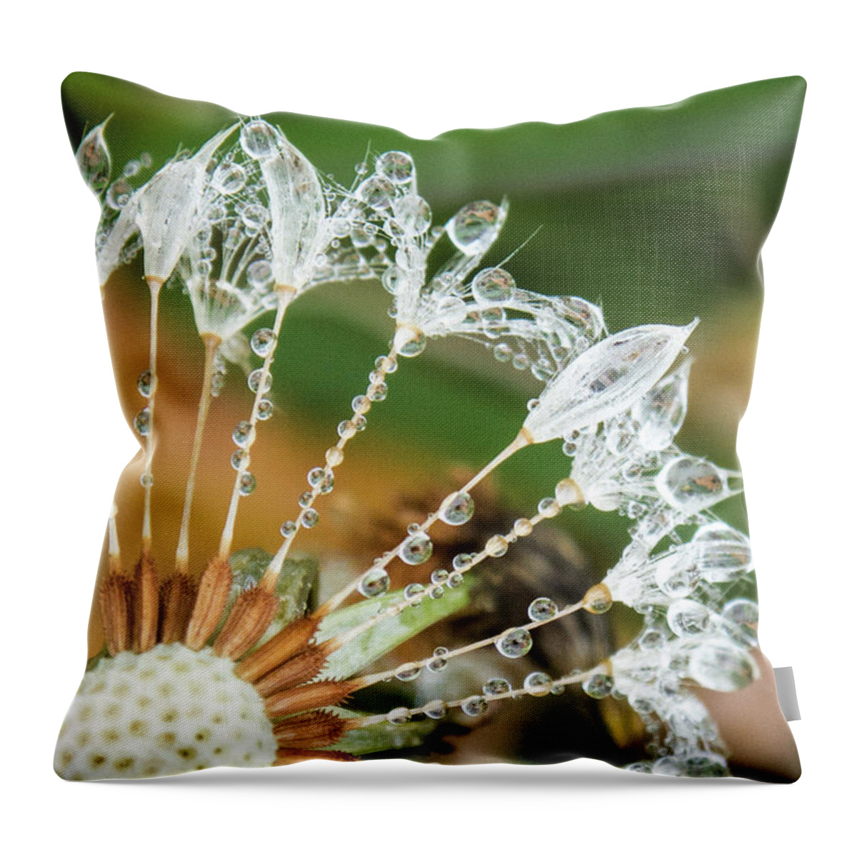 Closeup Throw Pillow featuring the photograph Dewy Diamond Dandelion 1 of 12 by Cheryl McClure