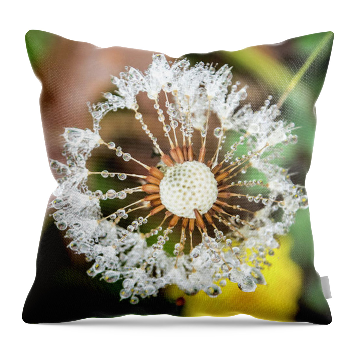 Closeup Throw Pillow featuring the photograph Dewy Diamond Dandelion 5 of 12 by Cheryl McClure