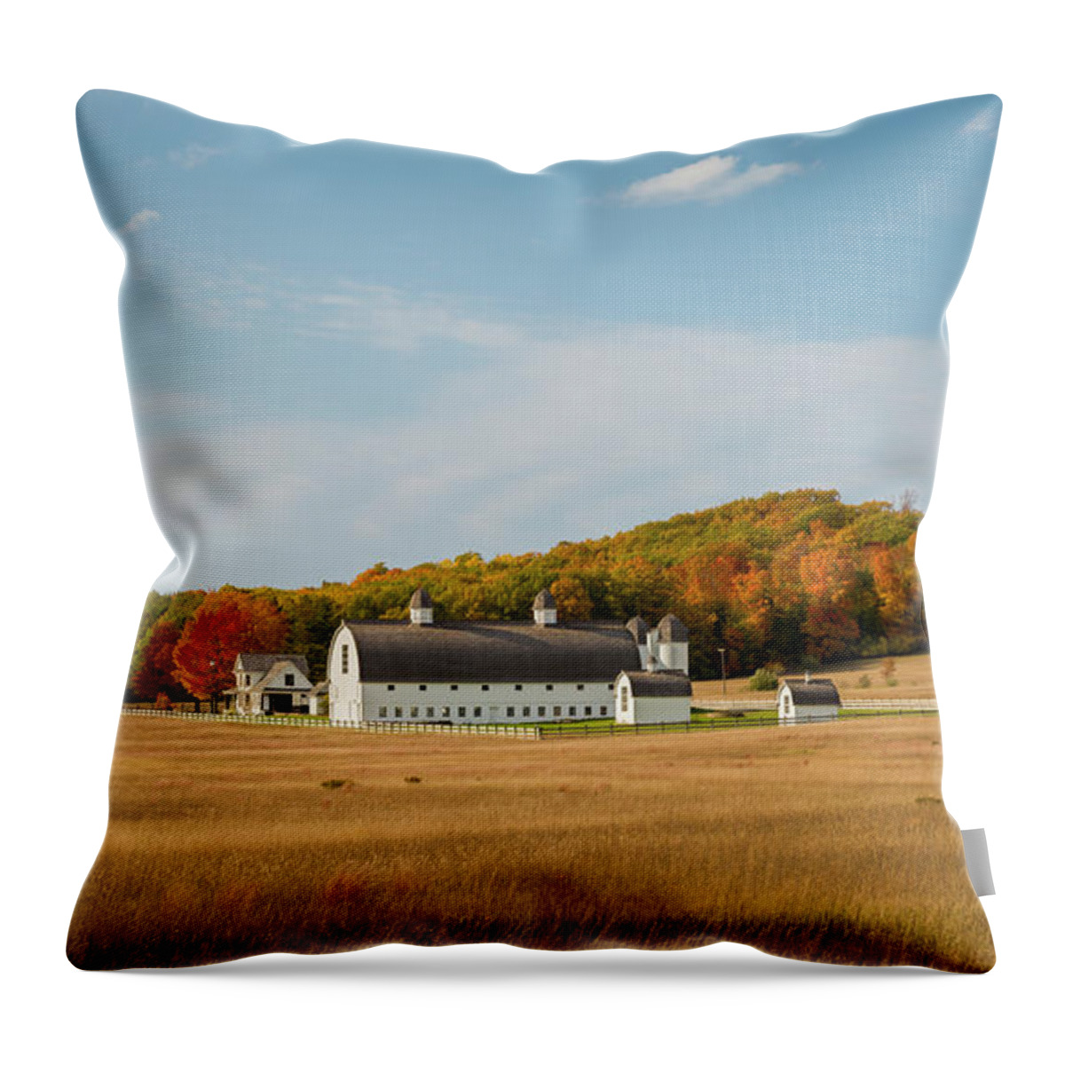 Dh Day Throw Pillow featuring the photograph Dh Day Farm by Steve L'Italien
