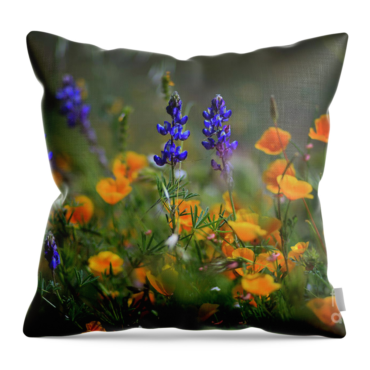 Lupine Throw Pillow featuring the photograph Diamond Valley Lake Wildflowers by Sam Antonio