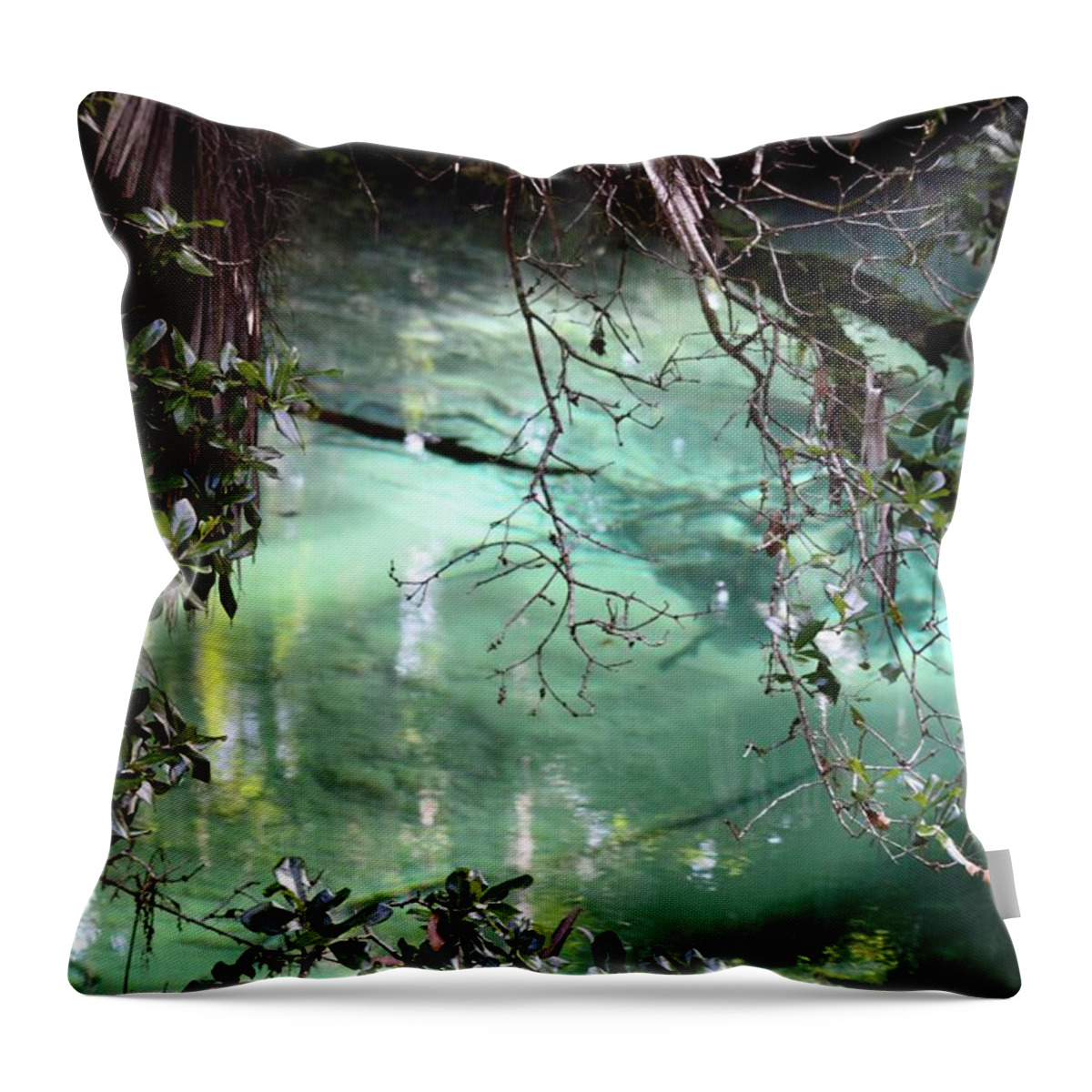 Diamonds In The Forest - Throw Pillow featuring the photograph Diamonds in the Forest by Warren Thompson