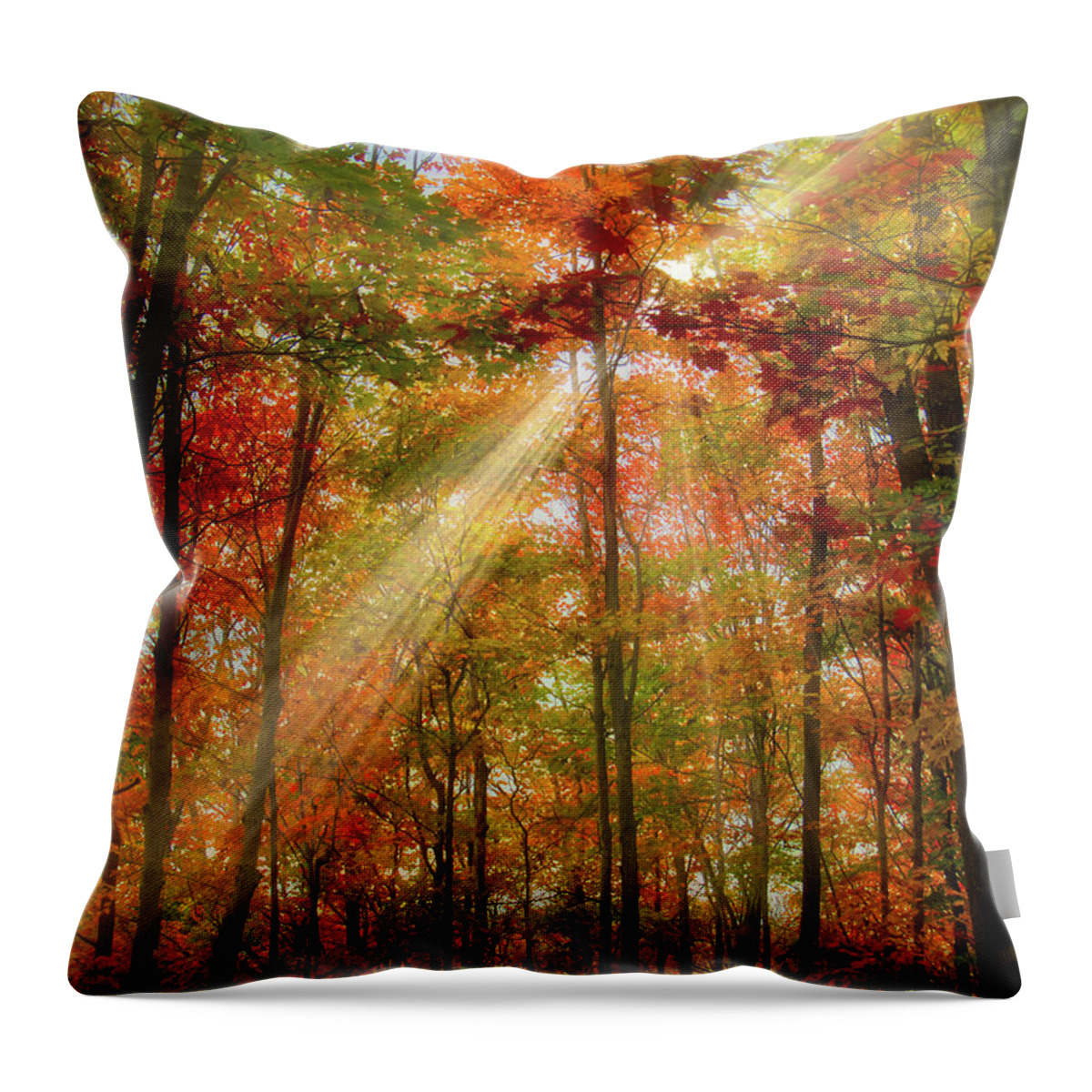 Rays Throw Pillow featuring the photograph Diffuse and Retract by Judy Cuddehe