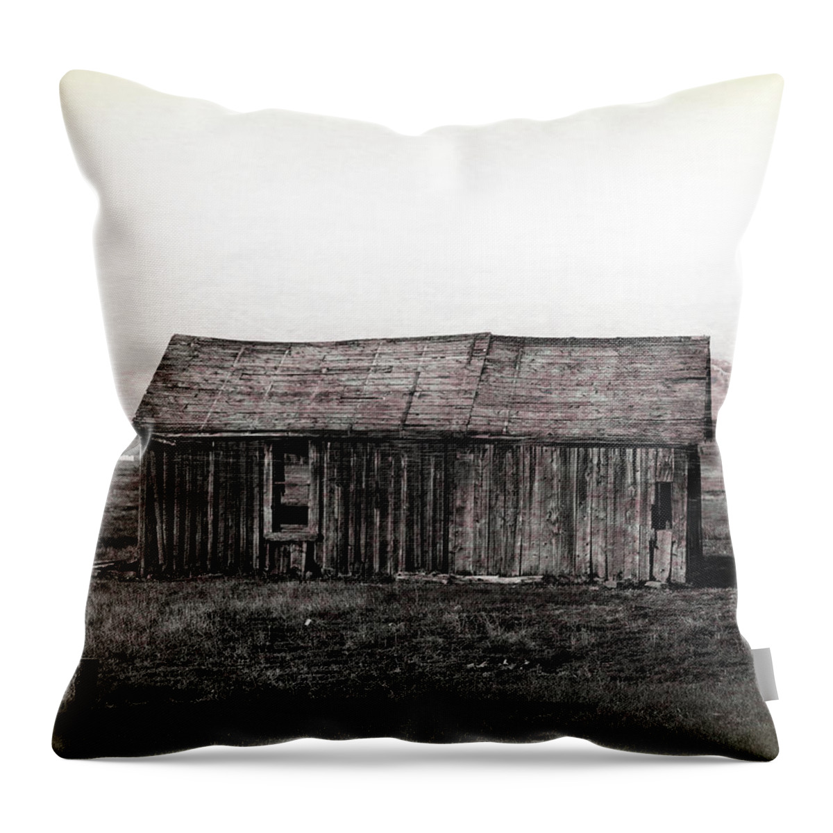 Dilapidated Barn Throw Pillow featuring the photograph Dilapidated Barn by Dan Sproul