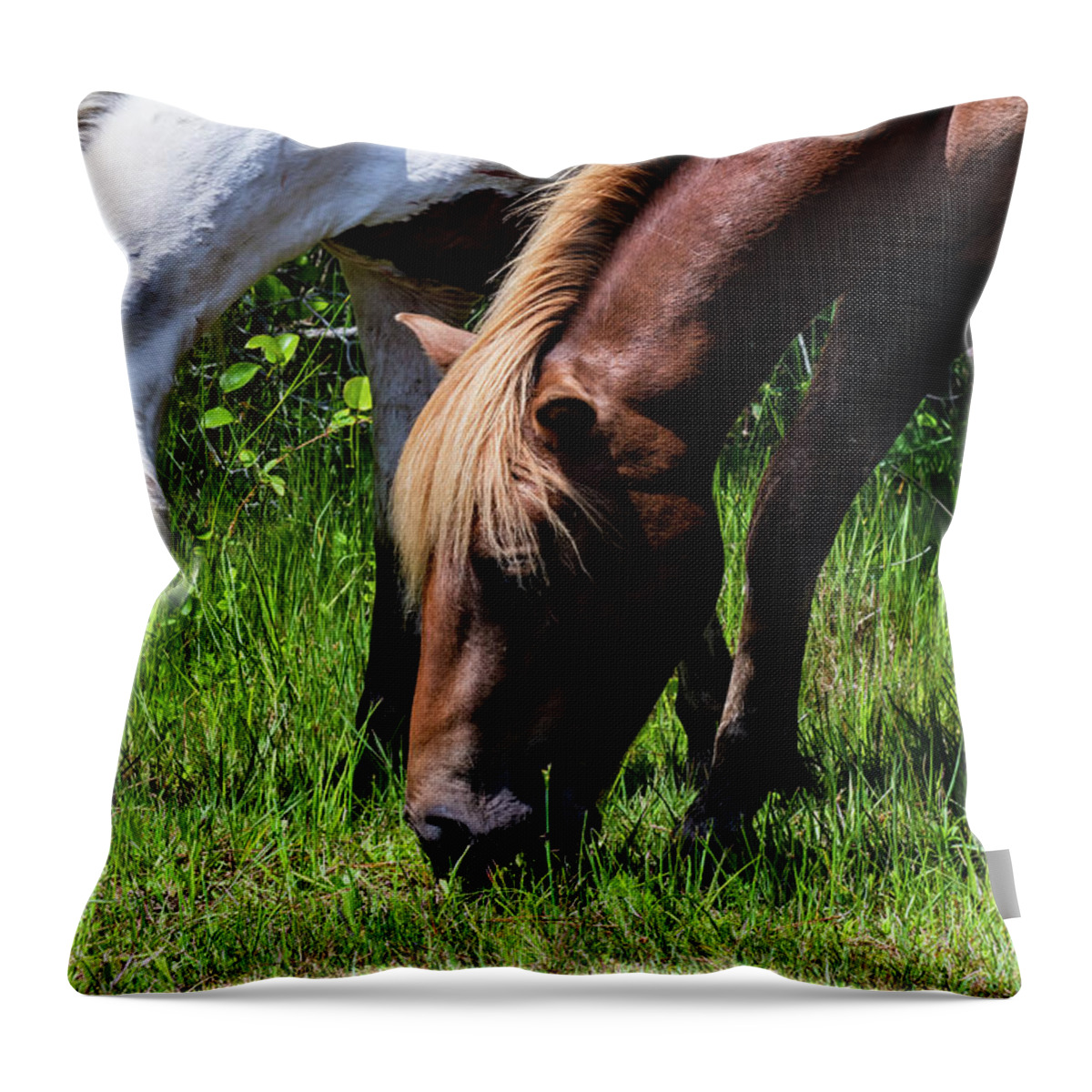 Assateague Island Throw Pillow featuring the photograph Dining for Three by Rose Guinther