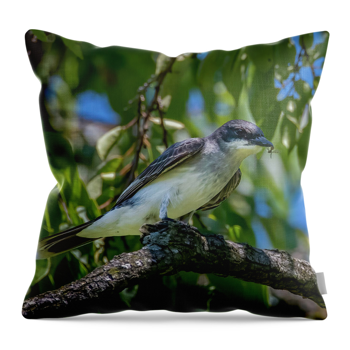 Animals Throw Pillow featuring the photograph Dinner is Served by Brian Shoemaker