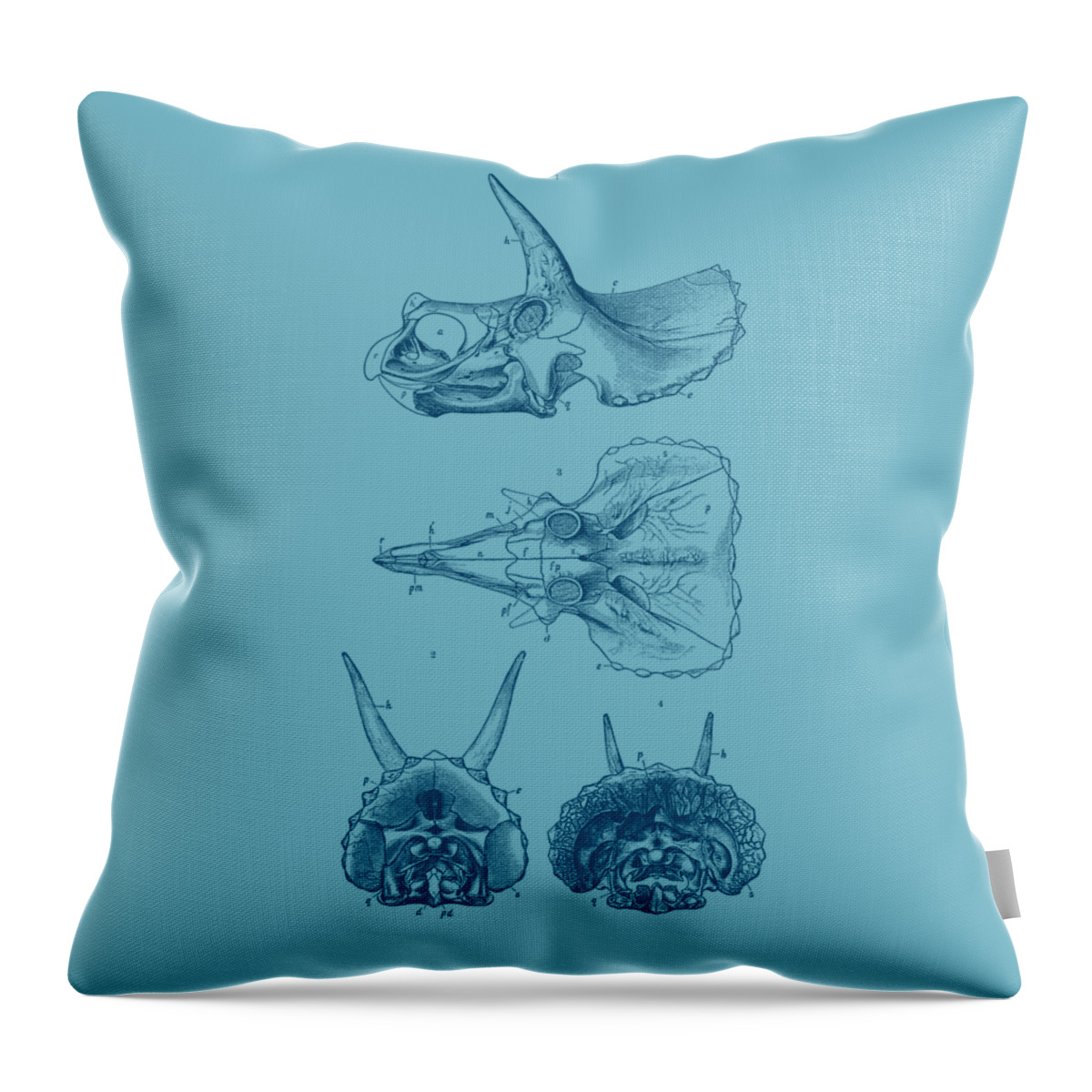 Sterrholophus Throw Pillow featuring the digital art Dino Skulls In Blue by Madame Memento