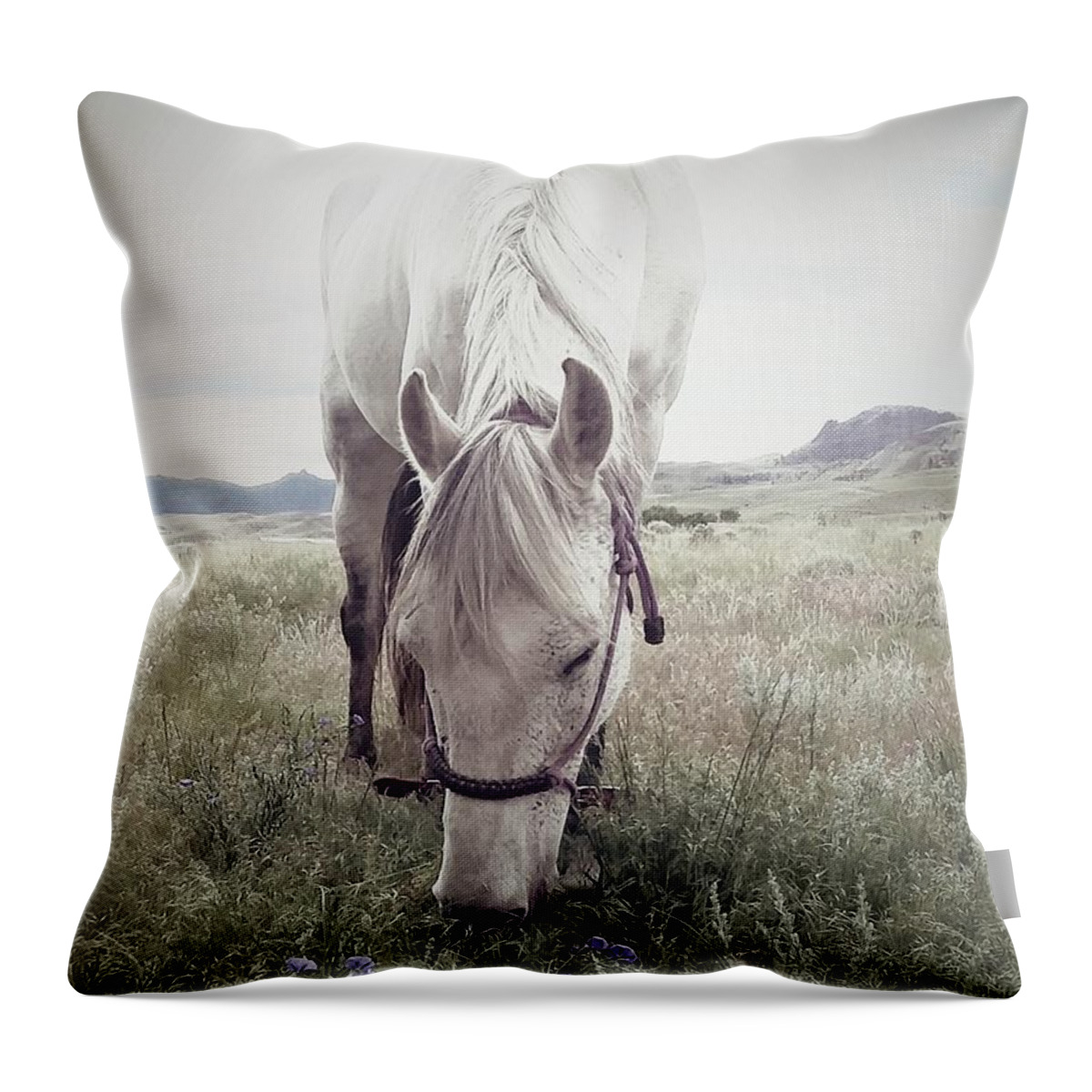 Horse Throw Pillow featuring the photograph Disappearing Rosa by Alden White Ballard