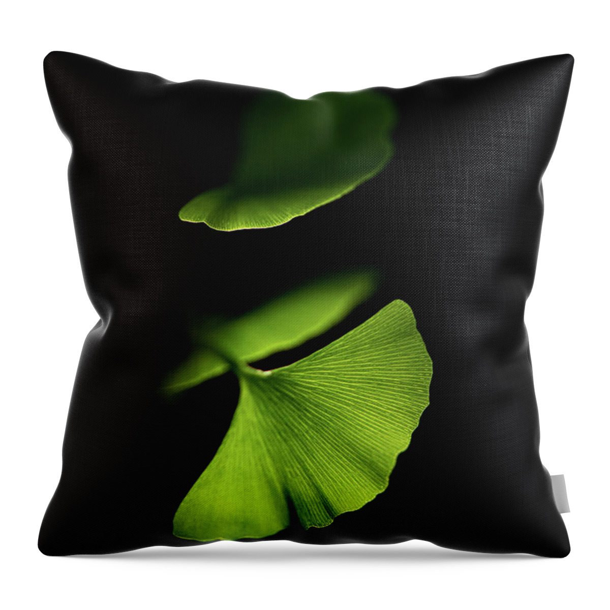 Leaves Throw Pillow featuring the photograph Discretion by Philippe Sainte-Laudy