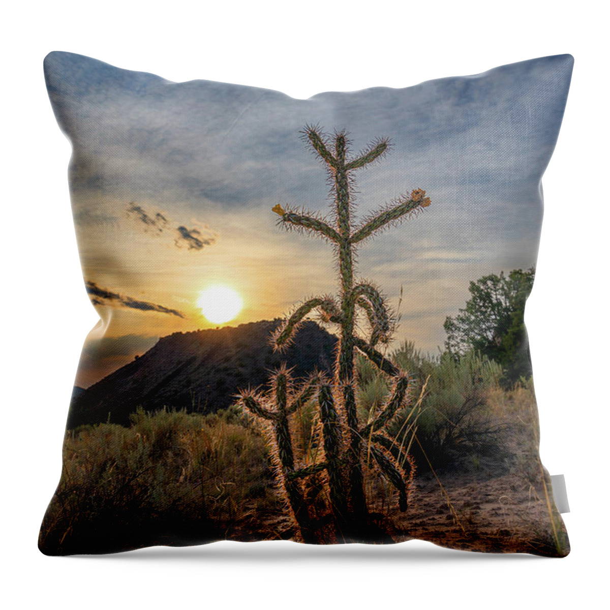 Taos Throw Pillow featuring the photograph Dixon Cactus 1 by Elijah Rael