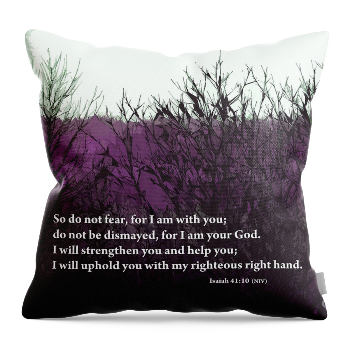 Bible Throw Pillow featuring the digital art Do Not Fear by Kirt Tisdale