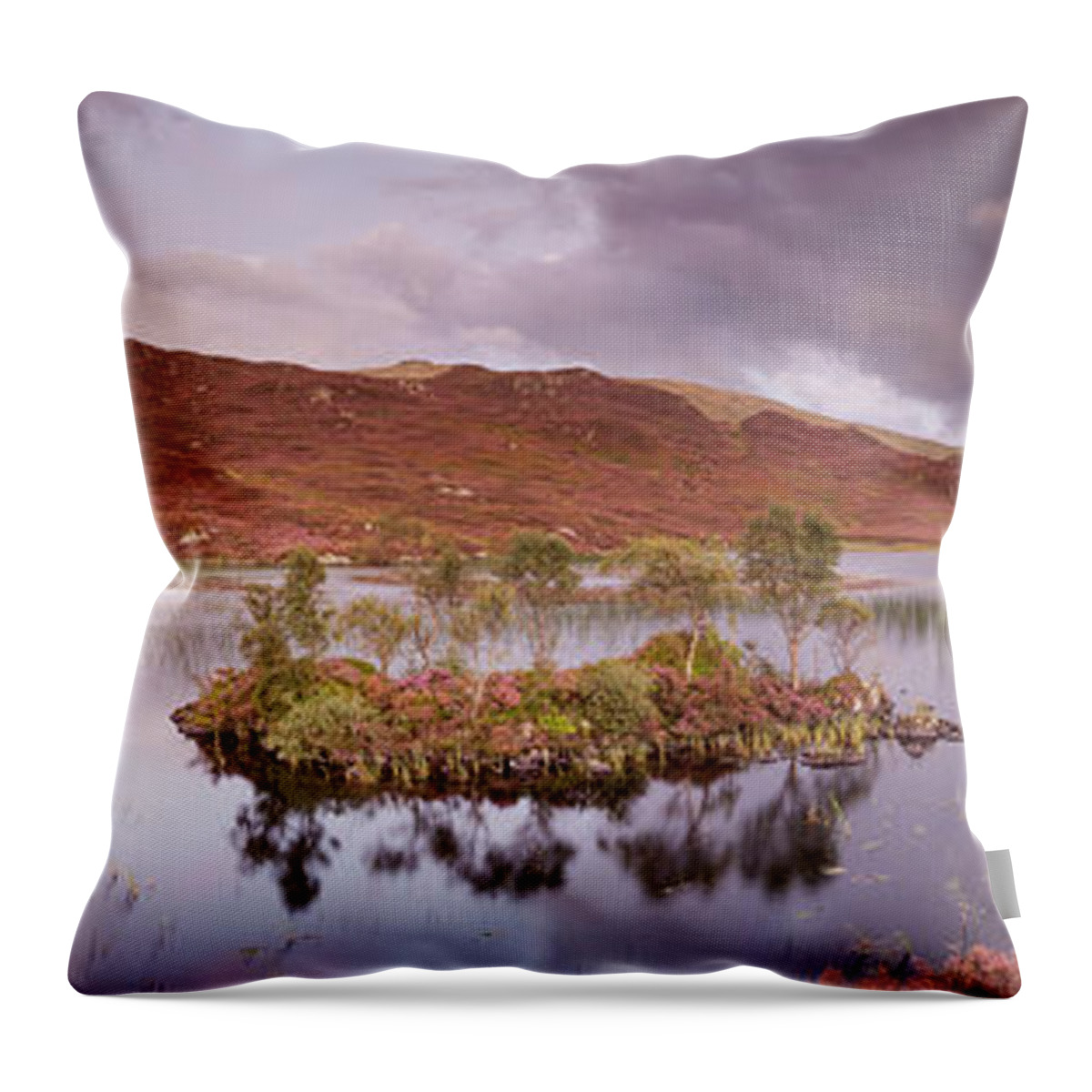 Dock Tarn Throw Pillow featuring the photograph Dock Tarn with heather at sunset by Anita Nicholson