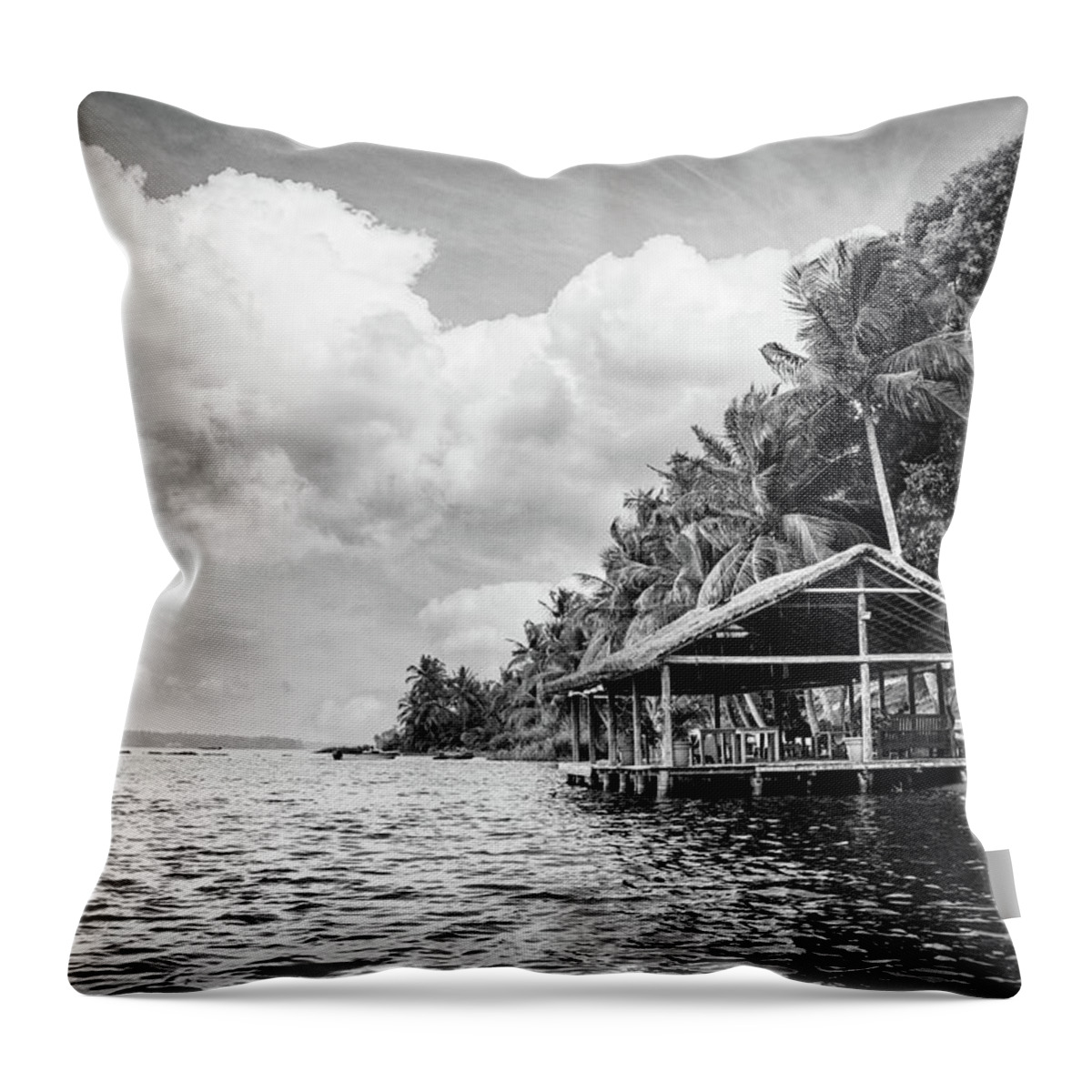 African Throw Pillow featuring the photograph Dockhouse Under the Palms Black and White by Debra and Dave Vanderlaan