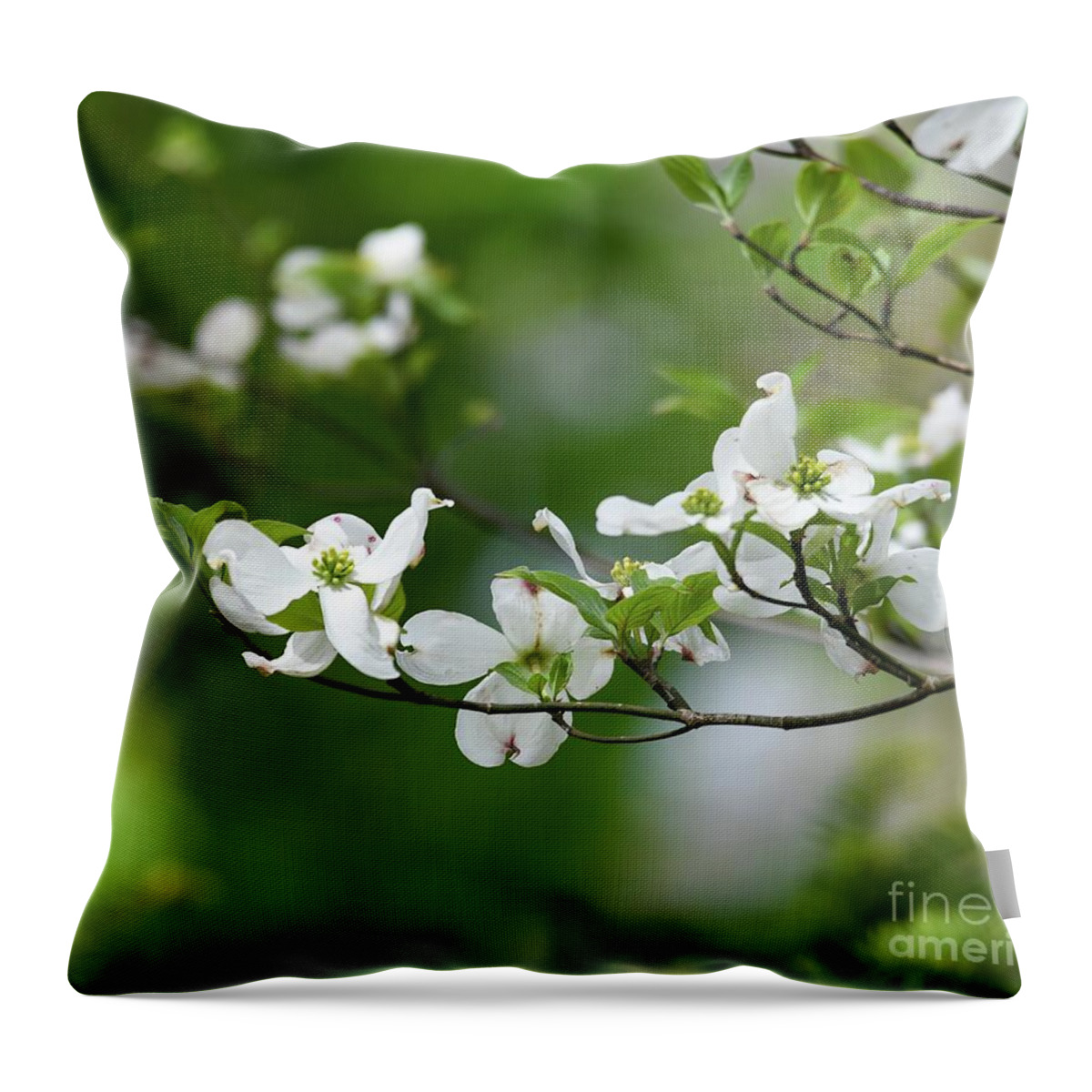 Dogwood Blooms Throw Pillow featuring the photograph Dogwood Dreams by Kerri Farley