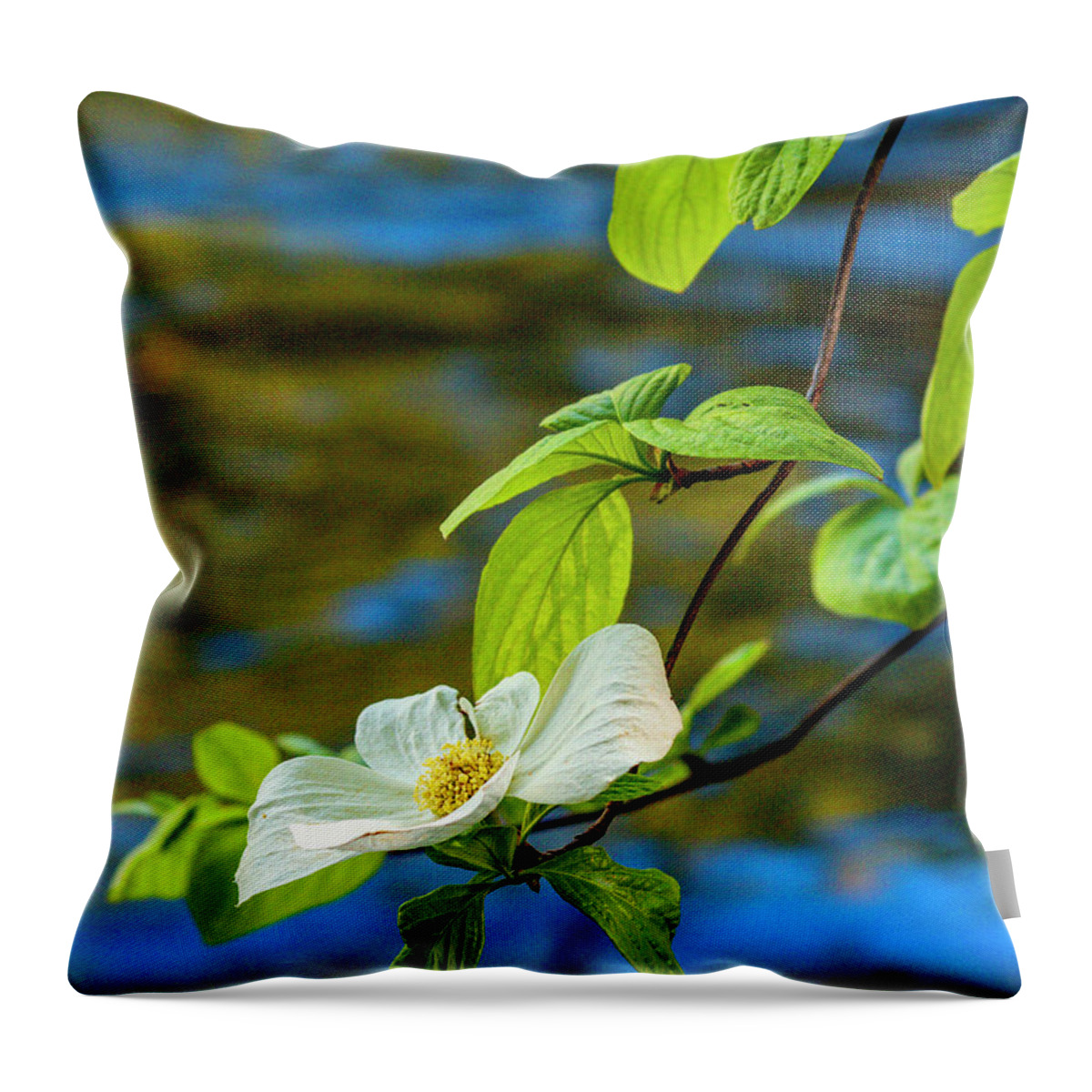 Yosemite Throw Pillow featuring the photograph Dogwood on the Merced by Bill Gallagher