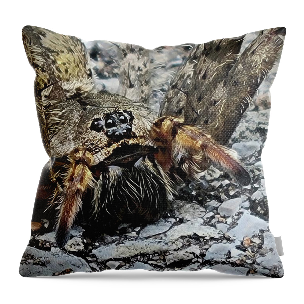 Fishing Spider Throw Pillow featuring the photograph Dolomedes Tenebrosus by Ally White