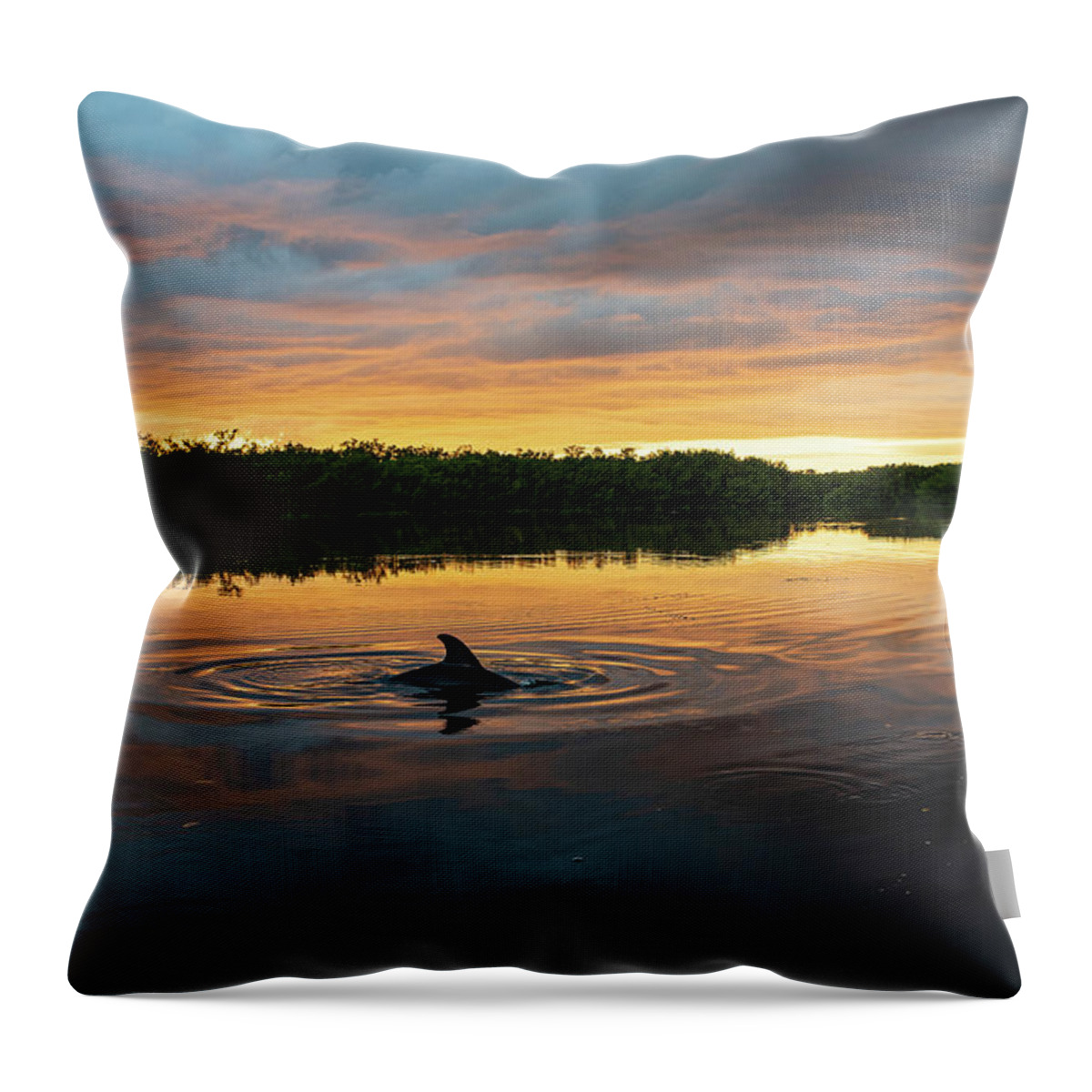 Sanibel Throw Pillow featuring the photograph Dolphin Sunset by Edward Saternus