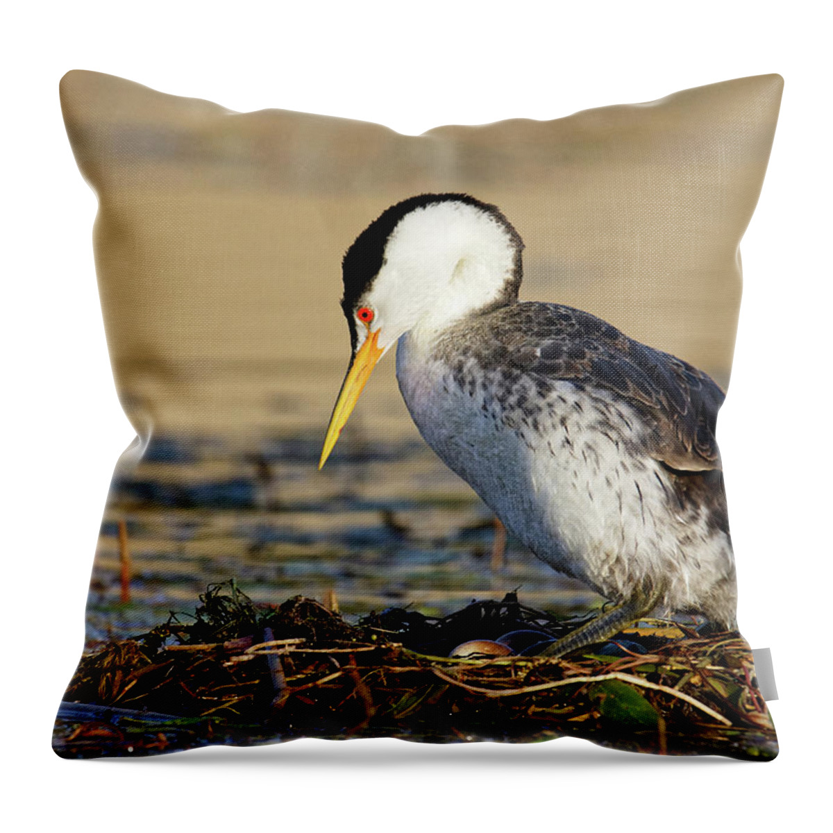 Don't Count Your Grebes... Throw Pillow featuring the photograph Don't Count Your Grebes... -- Clark's Grebe Nest with Eggs at Santa Margarita Lake, California by Darin Volpe