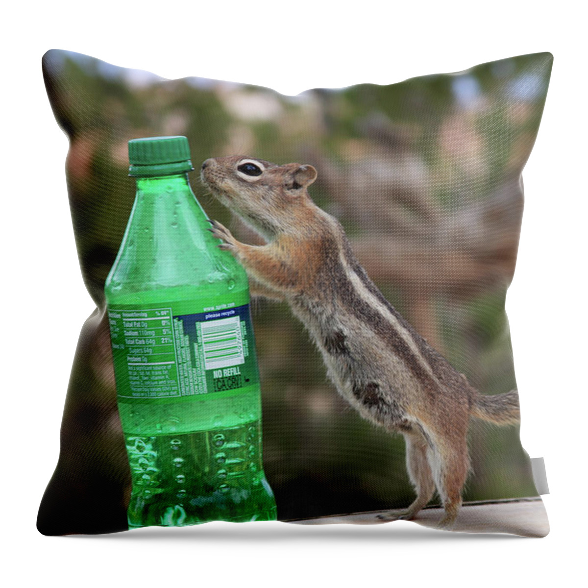 Squirrel Throw Pillow featuring the photograph Don't Feed the Wildlife by Bonny Puckett