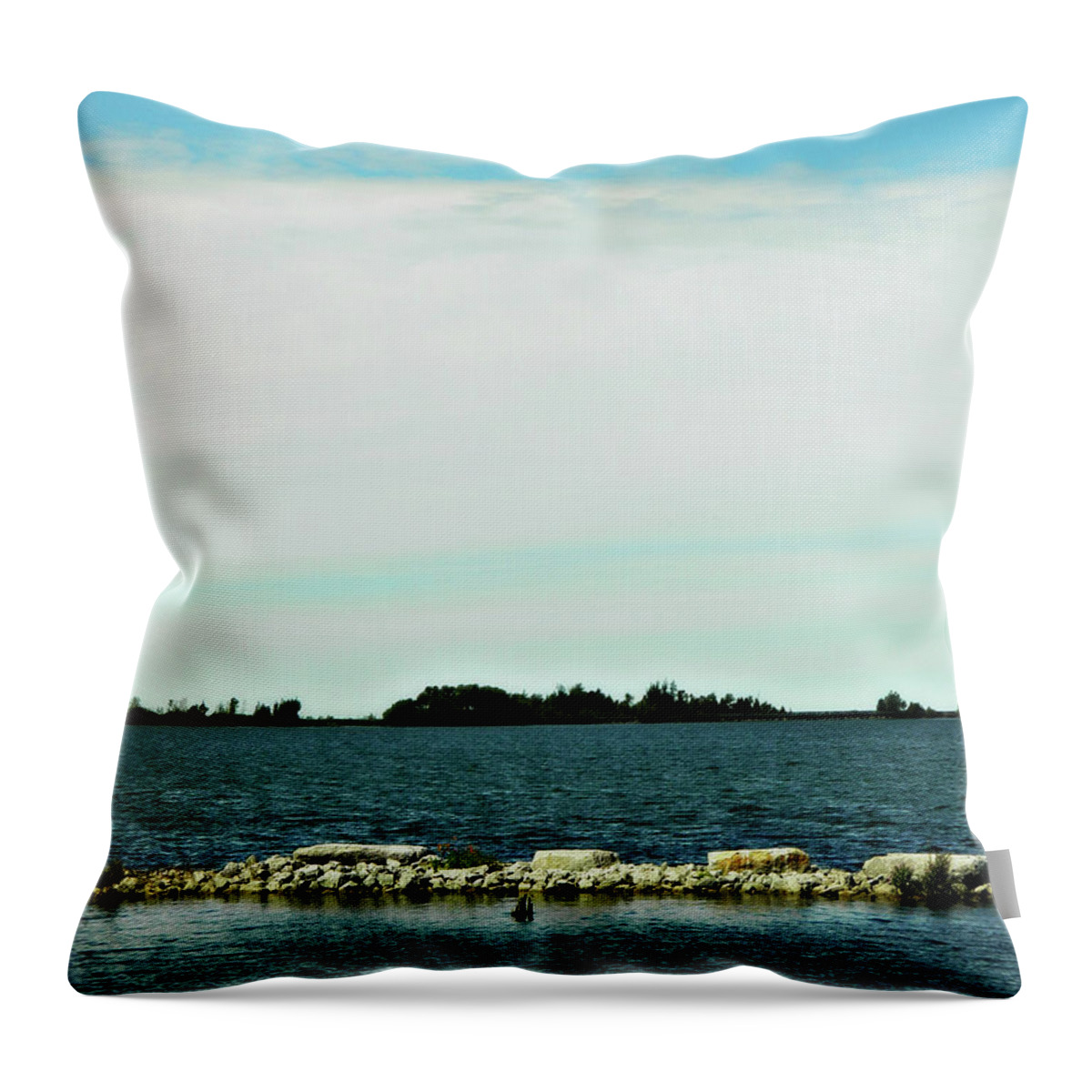 Don't Look Throw Pillow featuring the photograph Don't Look by Cyryn Fyrcyd