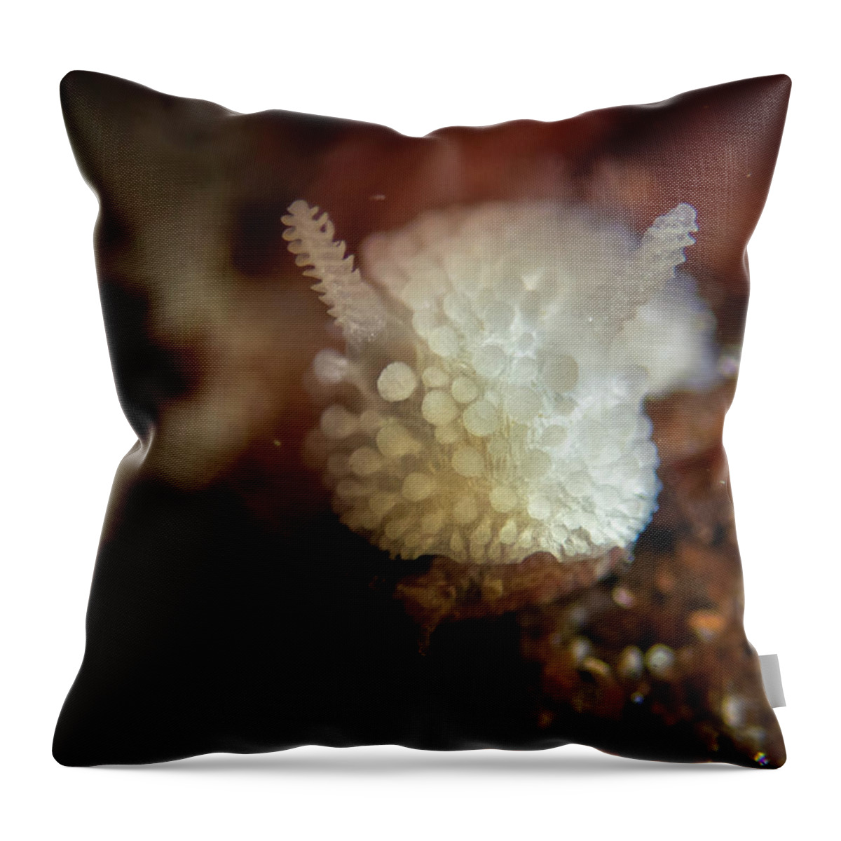 Nudibranch Throw Pillow featuring the photograph Doris Nudibranch by Brian Weber