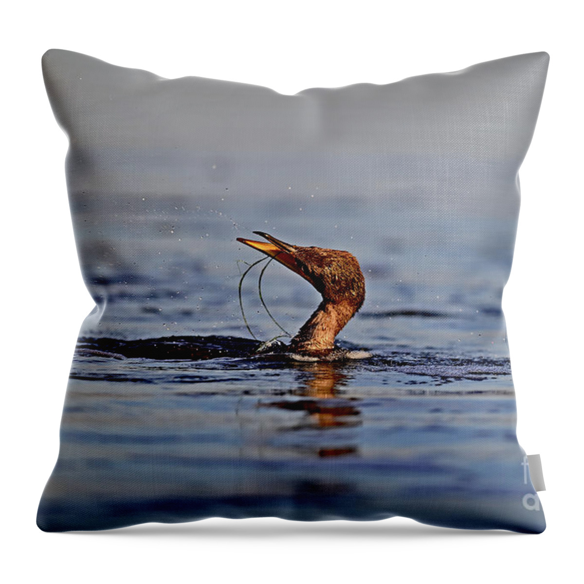 Double-crested Cormorant Throw Pillow featuring the photograph Double-crested Cormorant trying to detangle itself by Amazing Action Photo Video