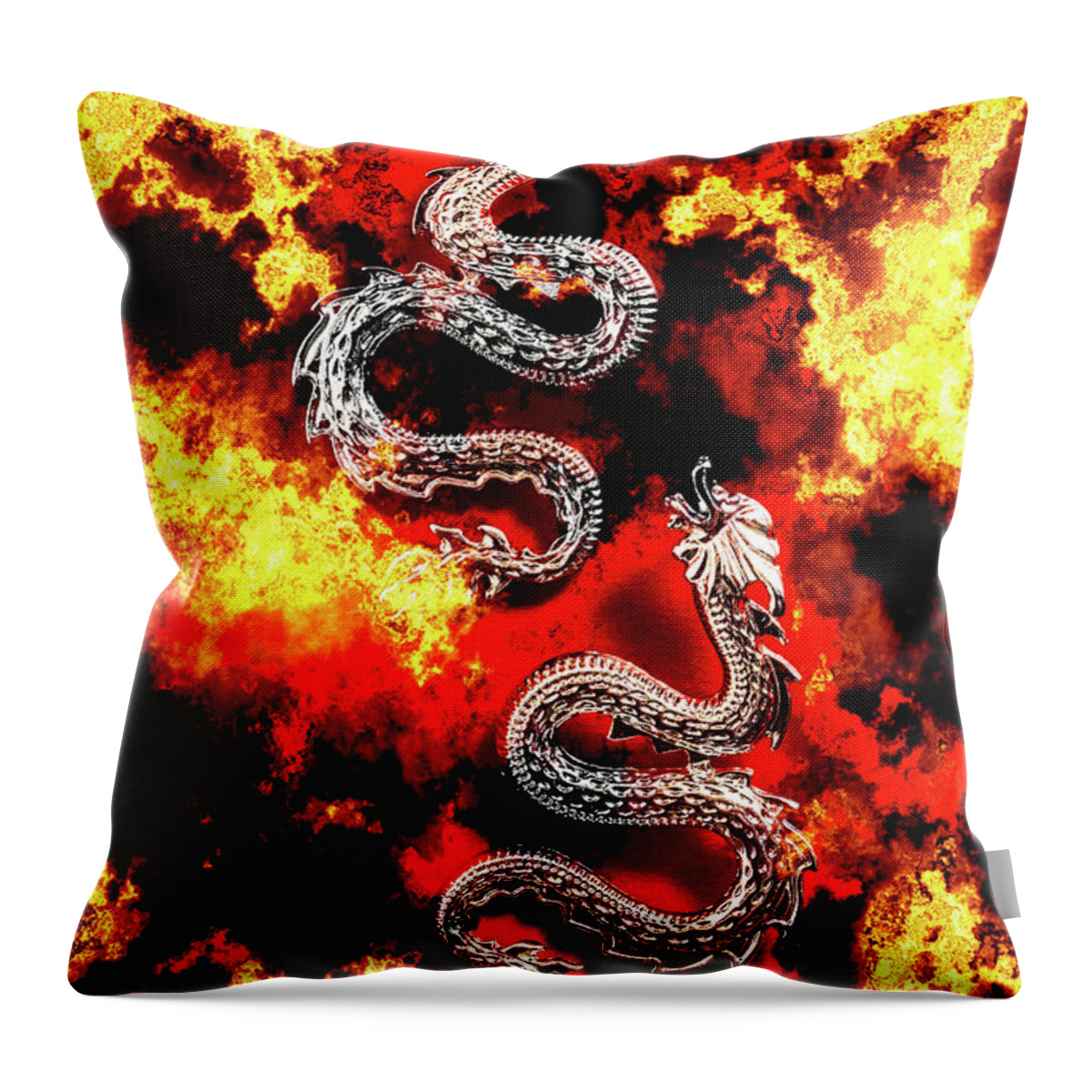 Dragon Throw Pillow featuring the photograph Double Dragon by Jorgo Photography