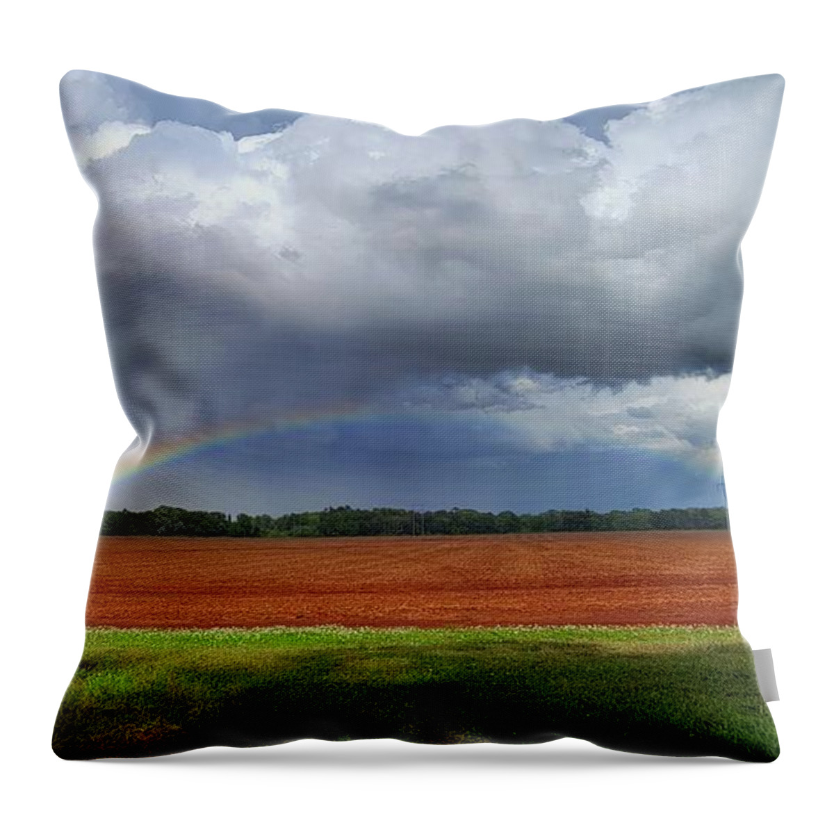 Weather Throw Pillow featuring the photograph Double Rainbow in Alabama by Ally White
