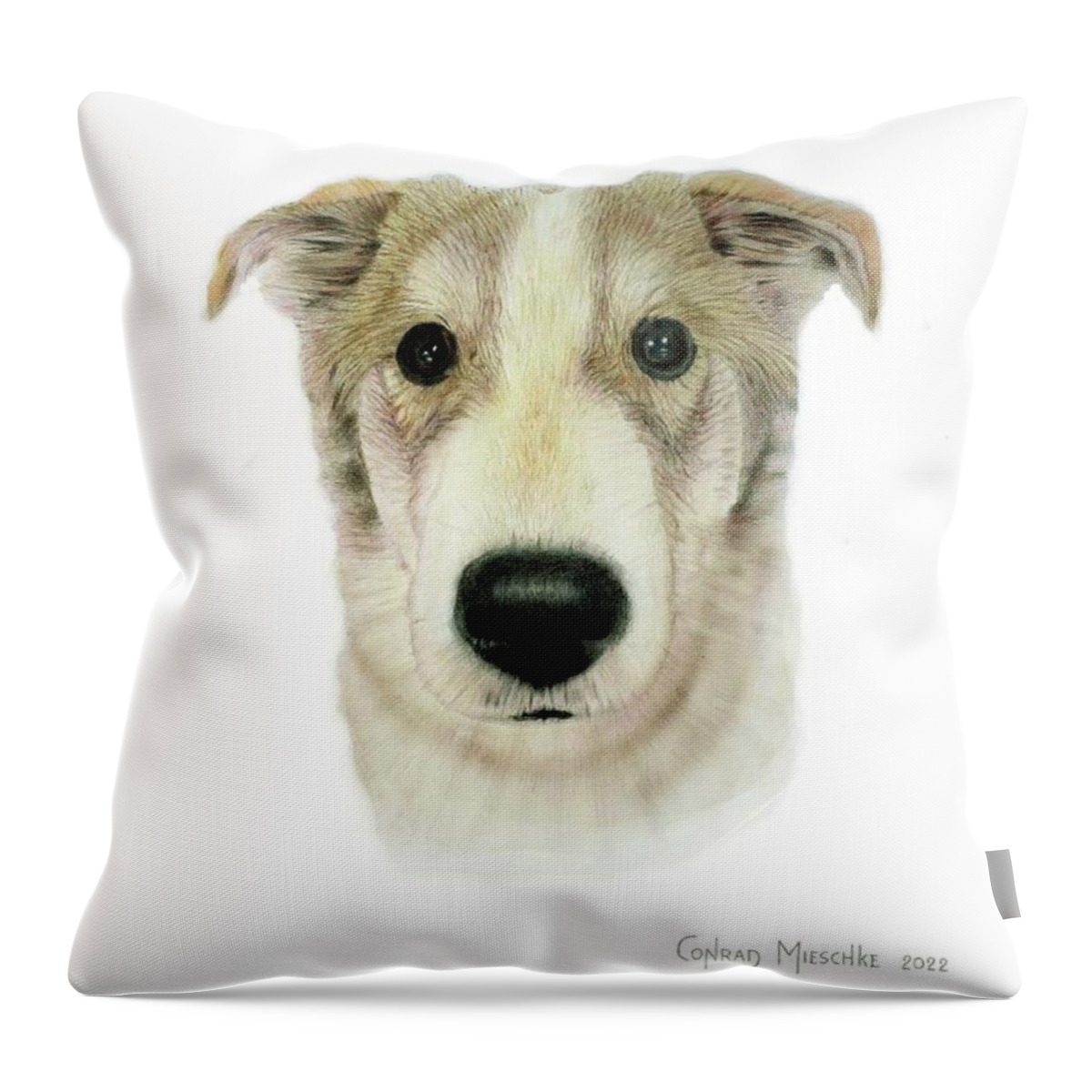 Dog Throw Pillow featuring the drawing Douglas by Conrad Mieschke