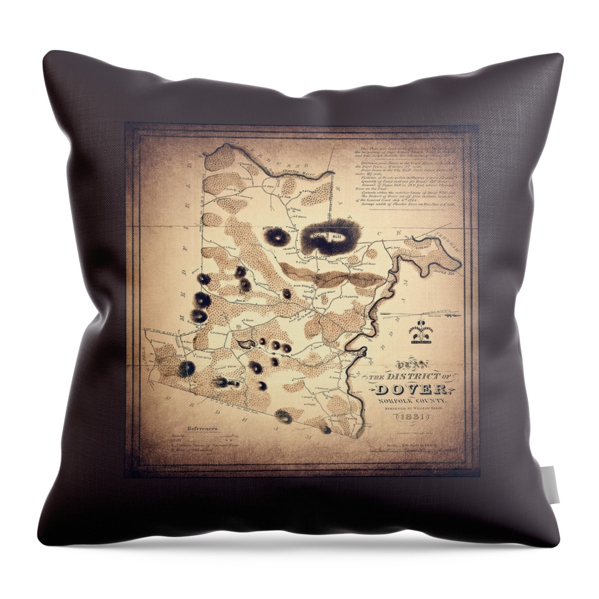 Dover Throw Pillow featuring the photograph Dover Massachusetts Historical Map 1831 Sepia by Carol Japp