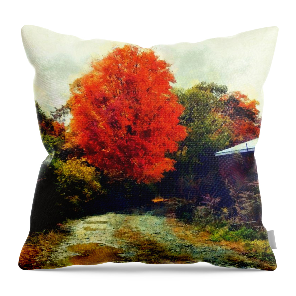 The Hudson Valley Throw Pillow featuring the photograph Down a Country Road - Autumn by Janine Riley