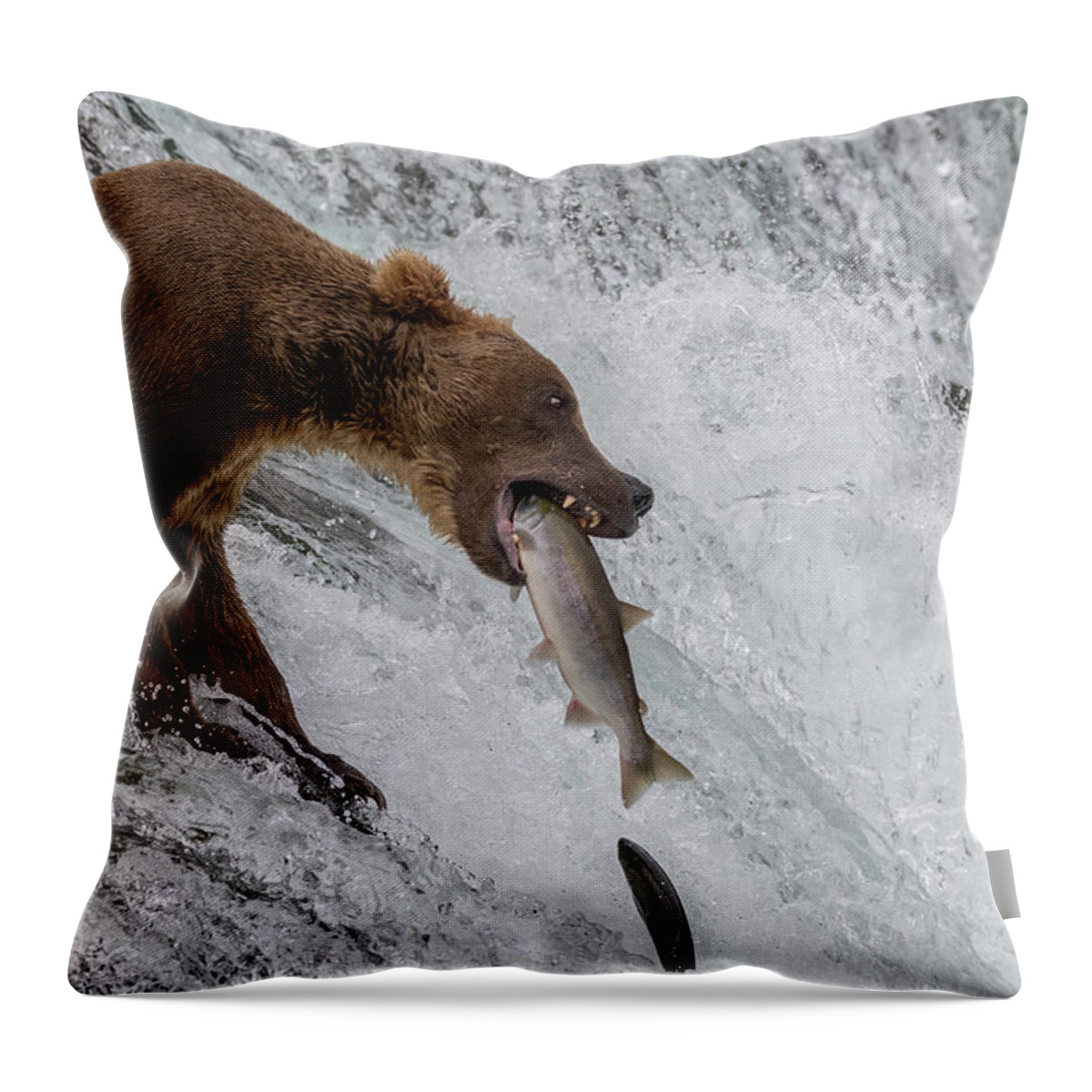 Bear Throw Pillow featuring the photograph Down the Hatch by Randy Robbins