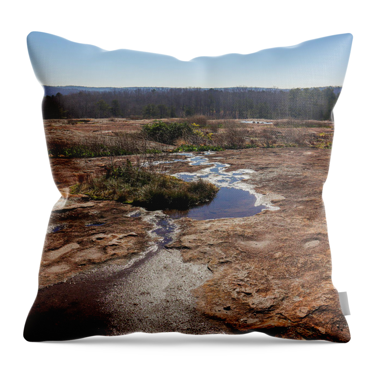 Arabia Mountain Throw Pillow featuring the photograph Down The Mountain Blues by Ed Williams