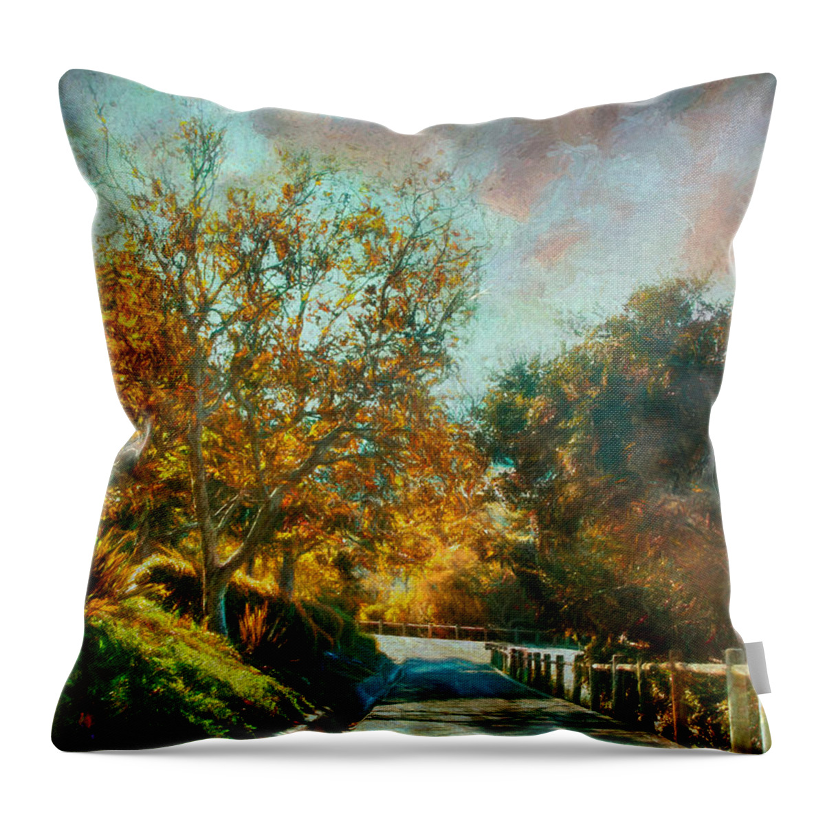 Fall Scene Throw Pillow featuring the photograph Down the Path BPRD by Alison Frank