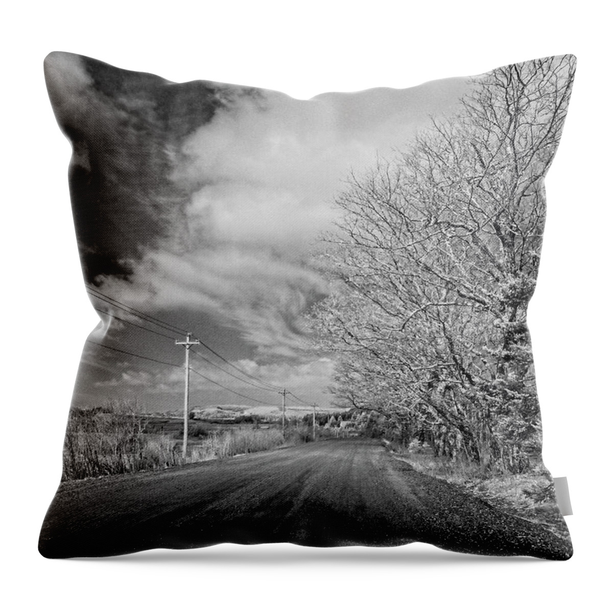 Infrared Throw Pillow featuring the photograph Down the Road by Alan Norsworthy