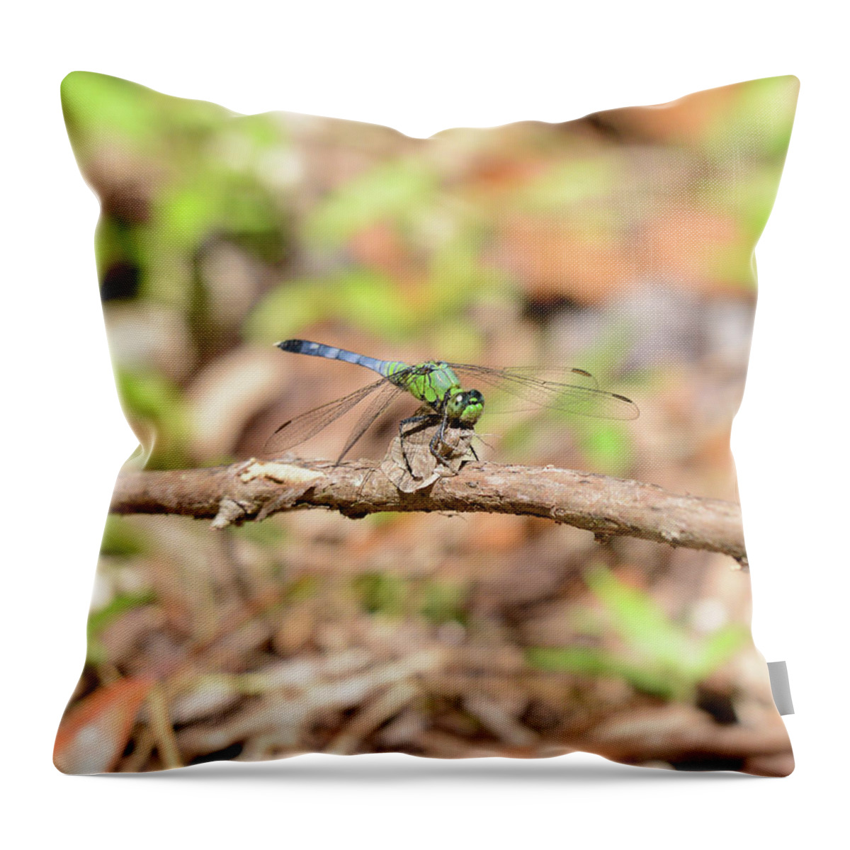  Throw Pillow featuring the photograph Dragon 3 by David Armstrong