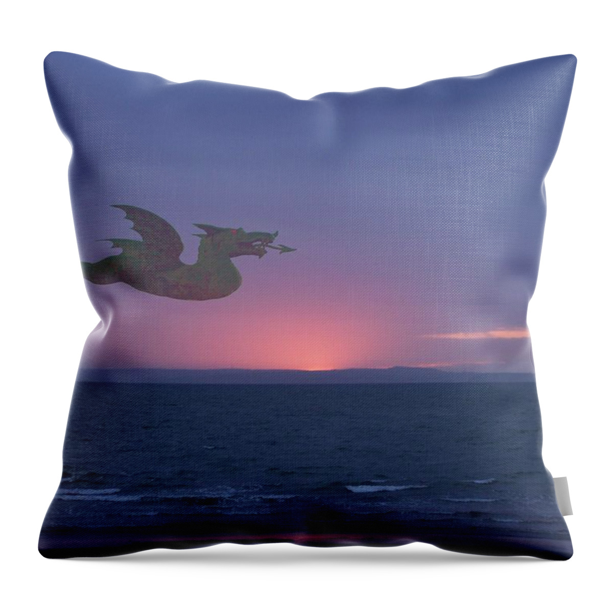 Dragon Throw Pillow featuring the photograph Dragon over Conwy estuary by Christopher Rowlands