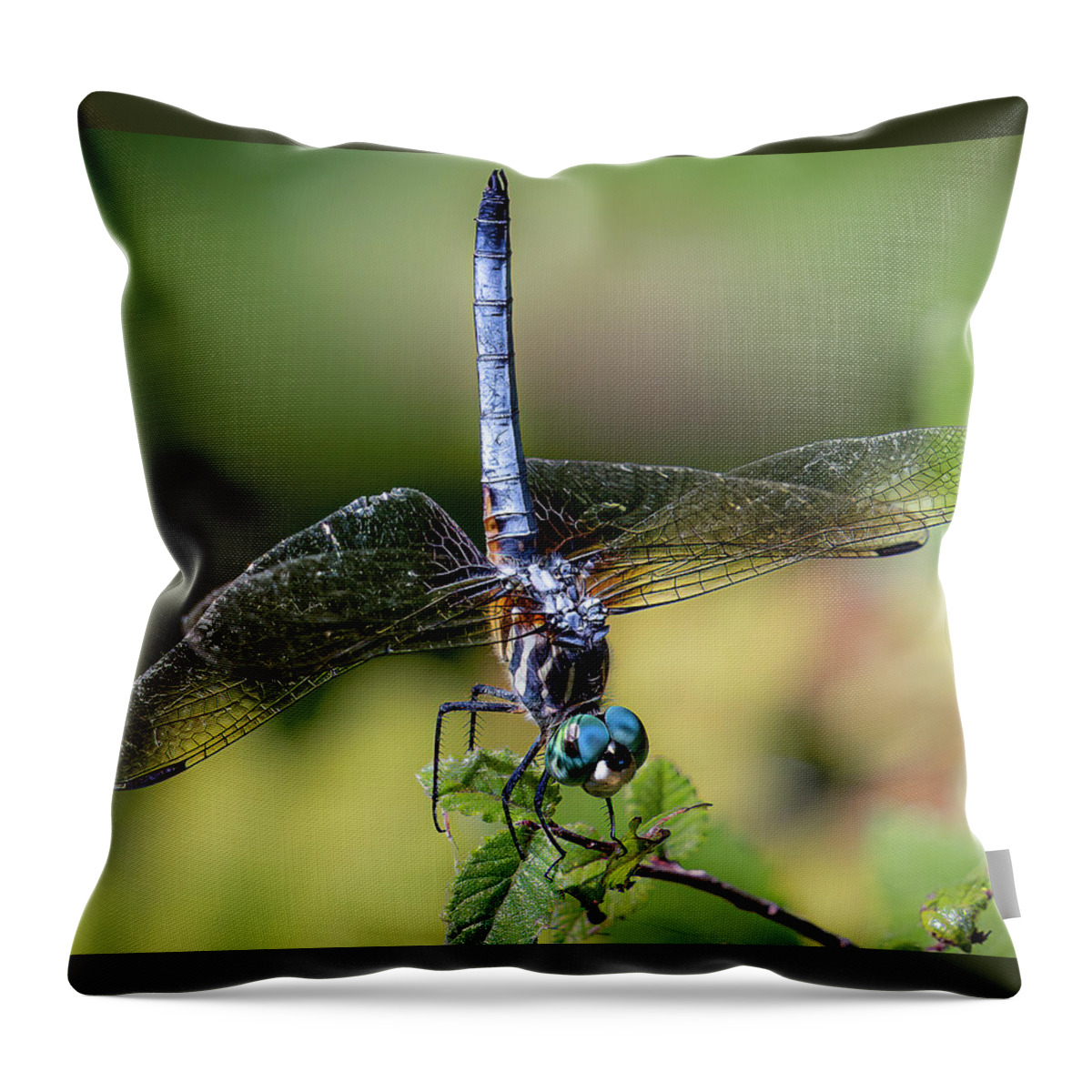Blue Dasher Throw Pillow featuring the photograph Dragonfly Handstand by Cheri Freeman