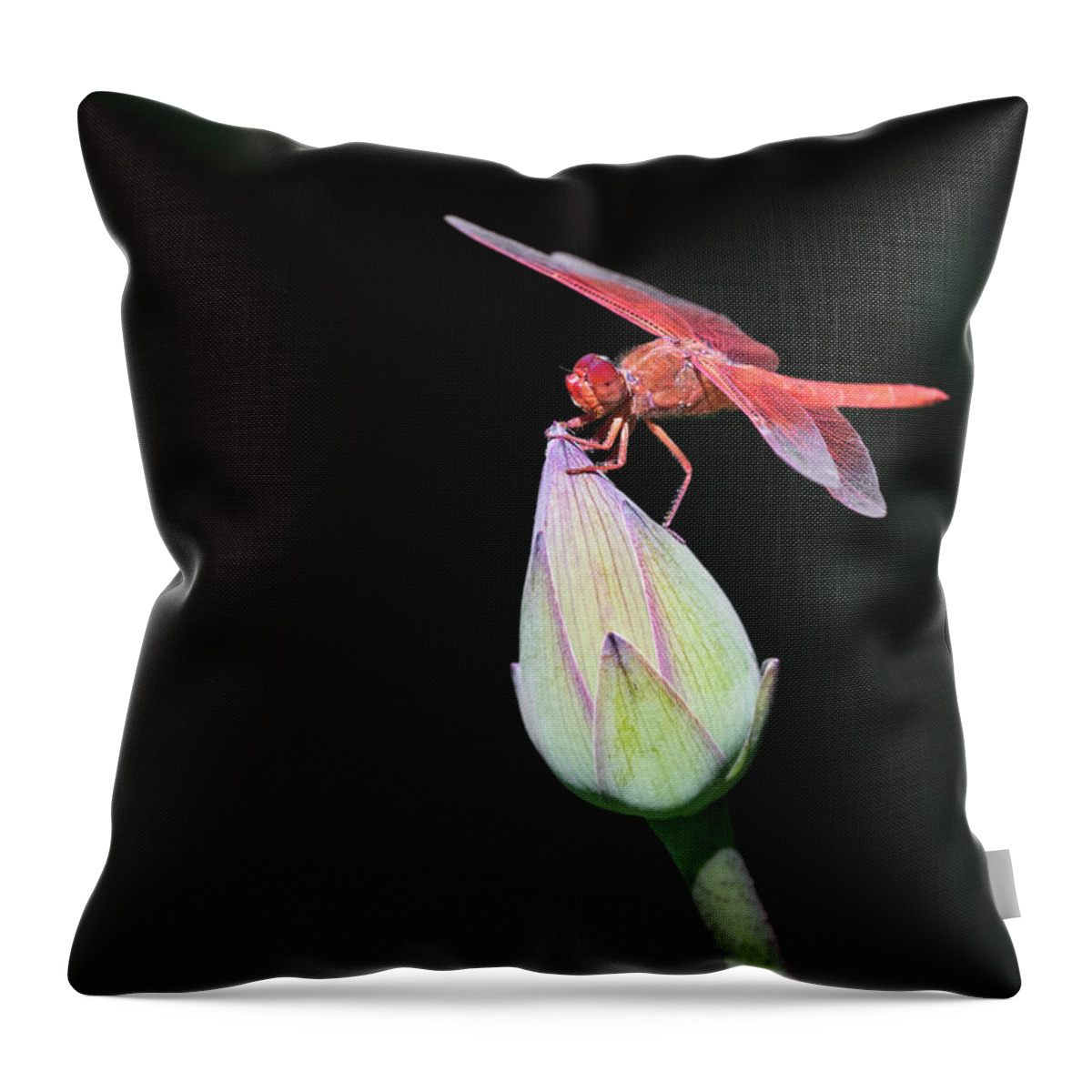 Lotus Throw Pillow featuring the photograph Dragonfly on Lotus Flower by Gary Geddes