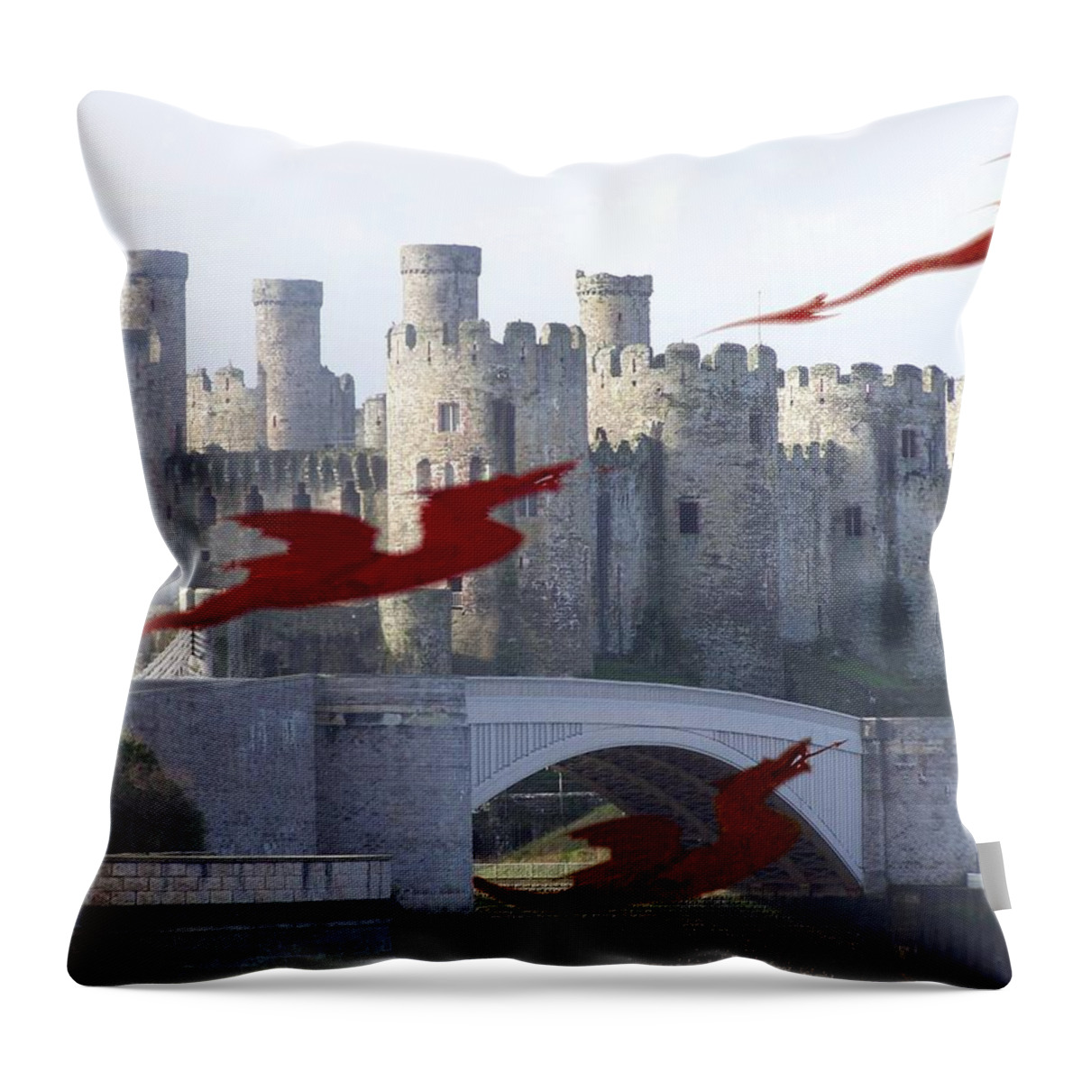 Dragons Throw Pillow featuring the photograph Dragons at play by Christopher Rowlands