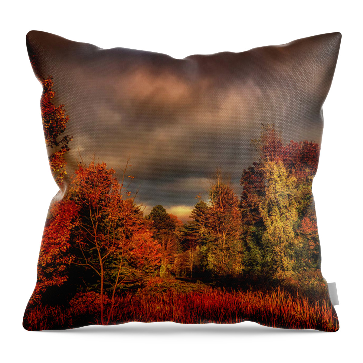 Foliage Throw Pillow featuring the photograph Dramatic Autumn sky landscape by Lilia S