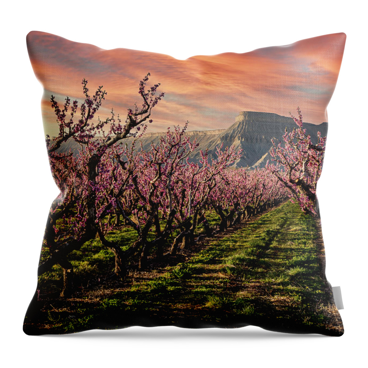 Colorado Throw Pillow featuring the photograph Dramatic Sunset in Palisade Colorado Peach Orchard by Teri Virbickis