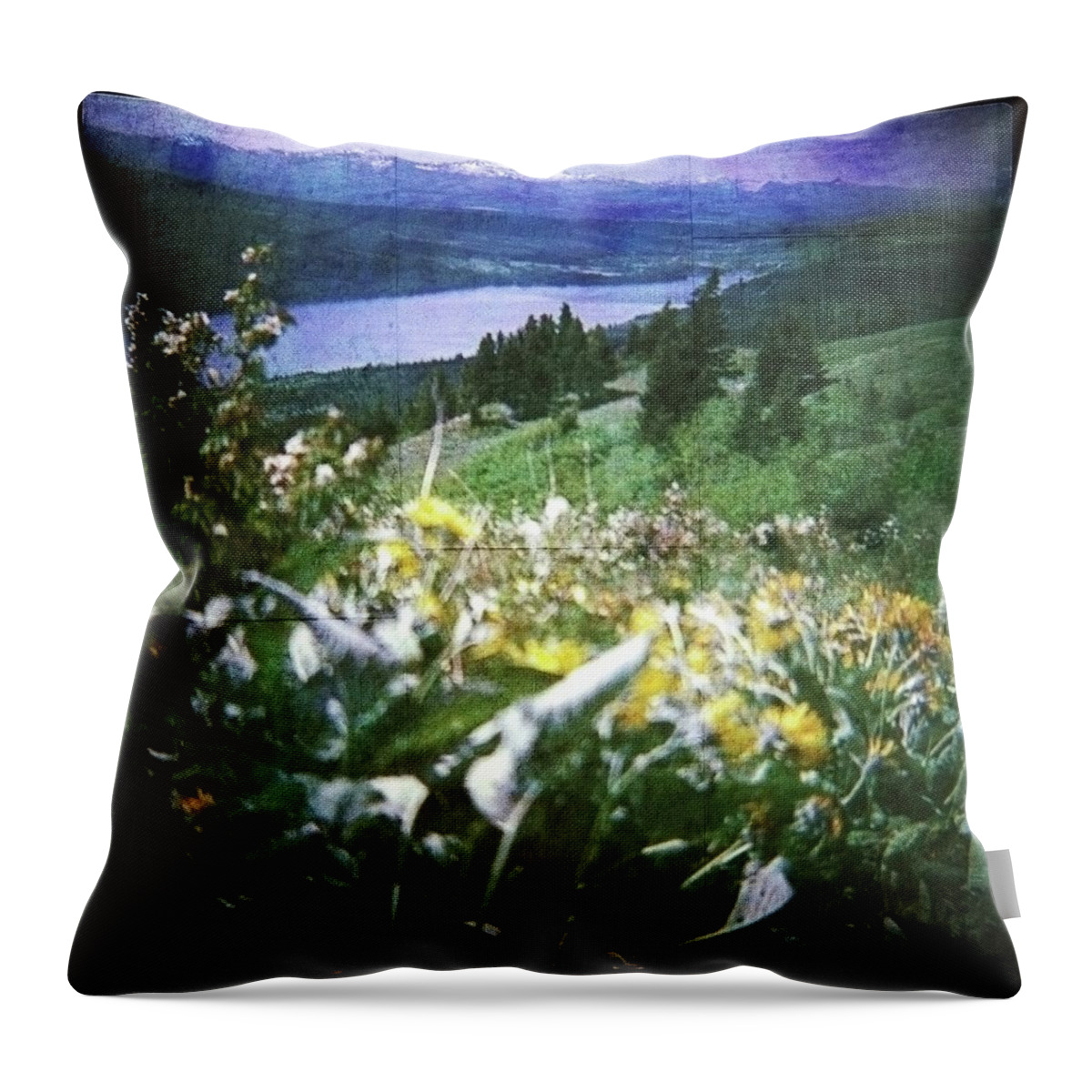 'glacier National Park' Throw Pillow featuring the photograph Dream in East Glacier by Carol Whaley Addassi