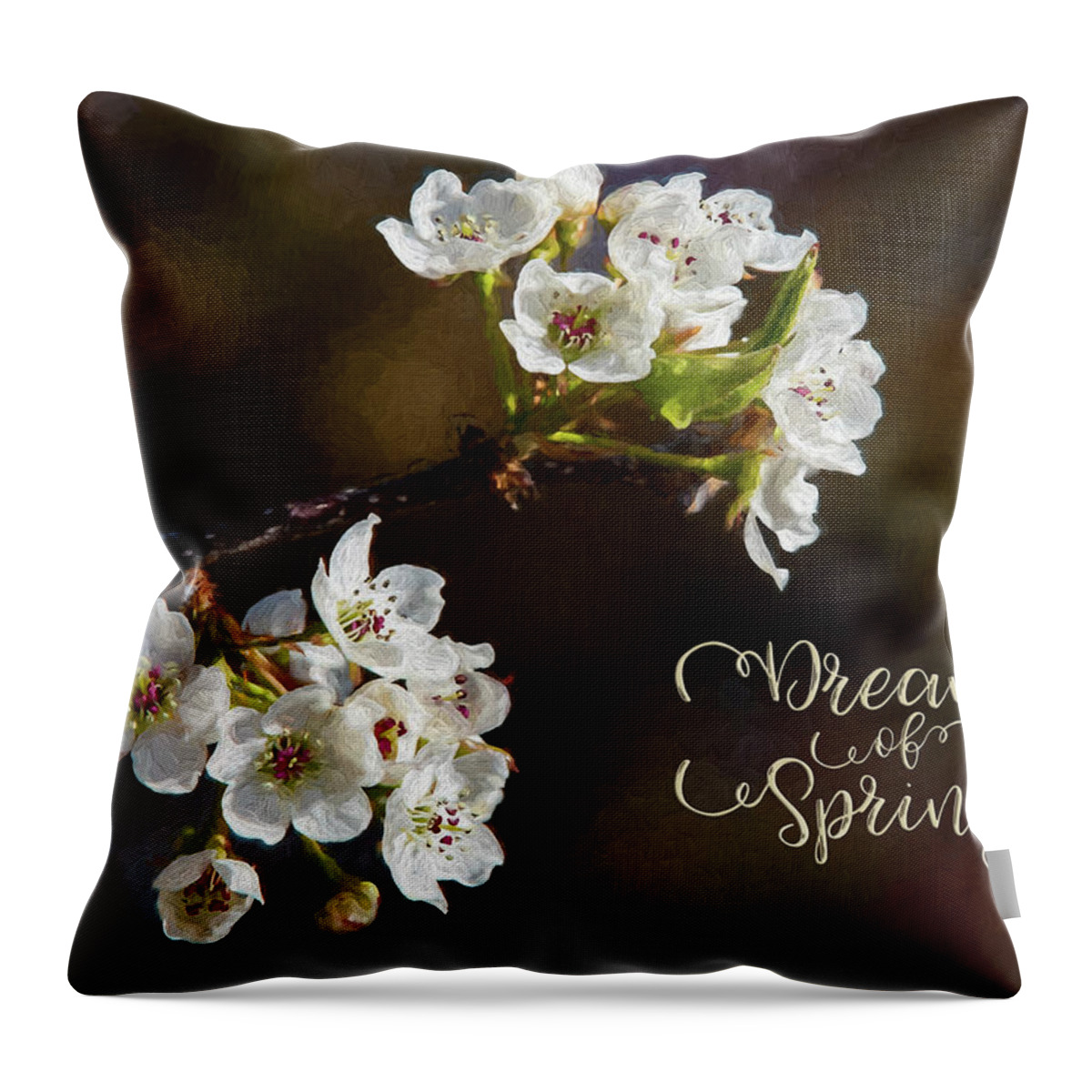 Spring Throw Pillow featuring the photograph Dream of Spring by Cathy Kovarik