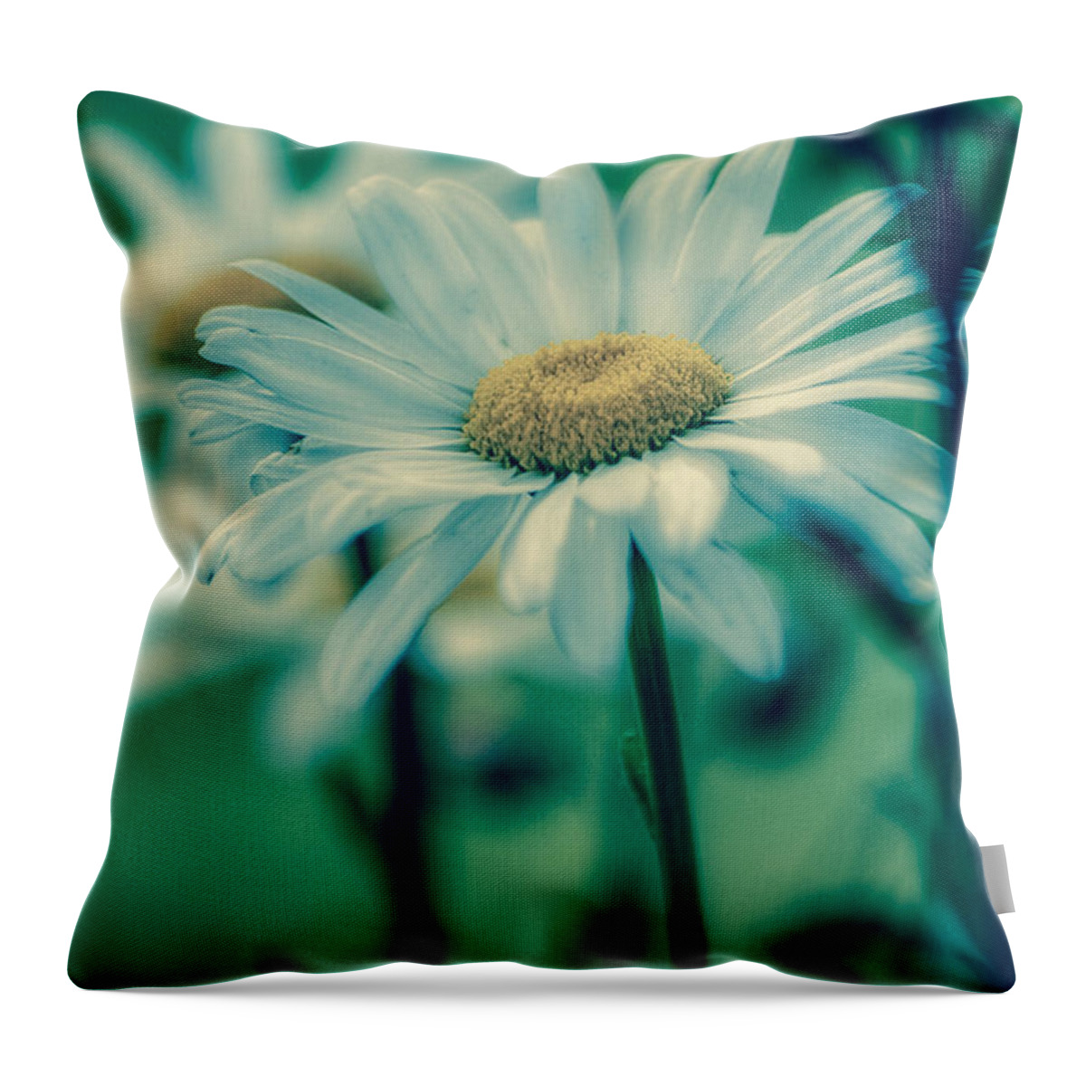 Nature Throw Pillow featuring the photograph Dreamy Daisies by Bonnie Bruno