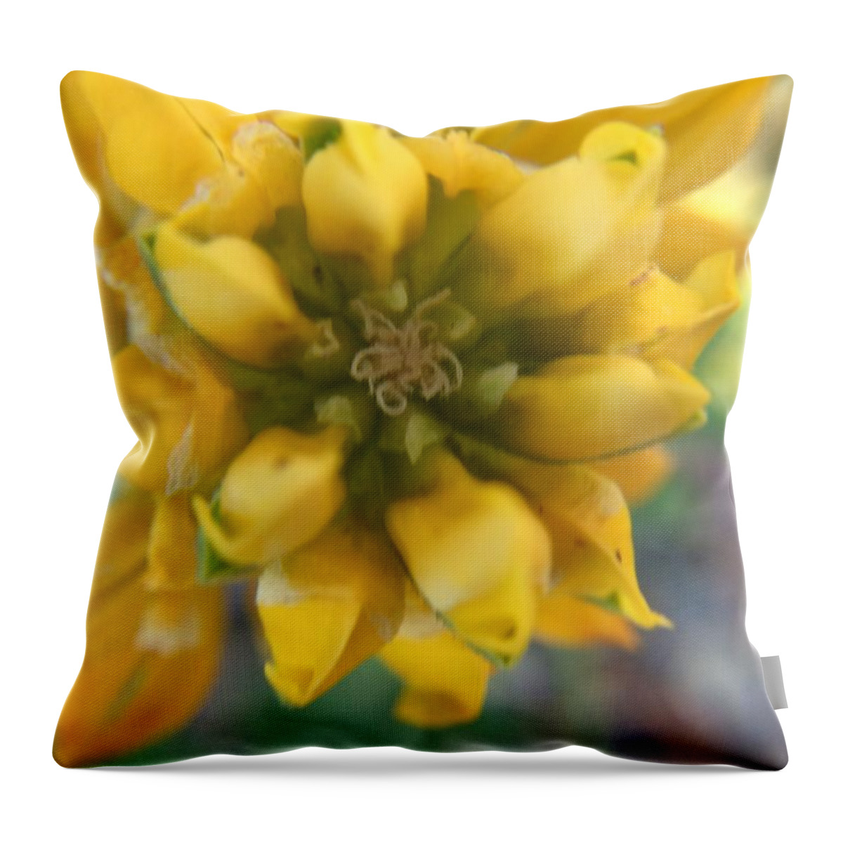 Yellow Rose Throw Pillow featuring the photograph Dreamy Yellow Rose by Vivian Aumond