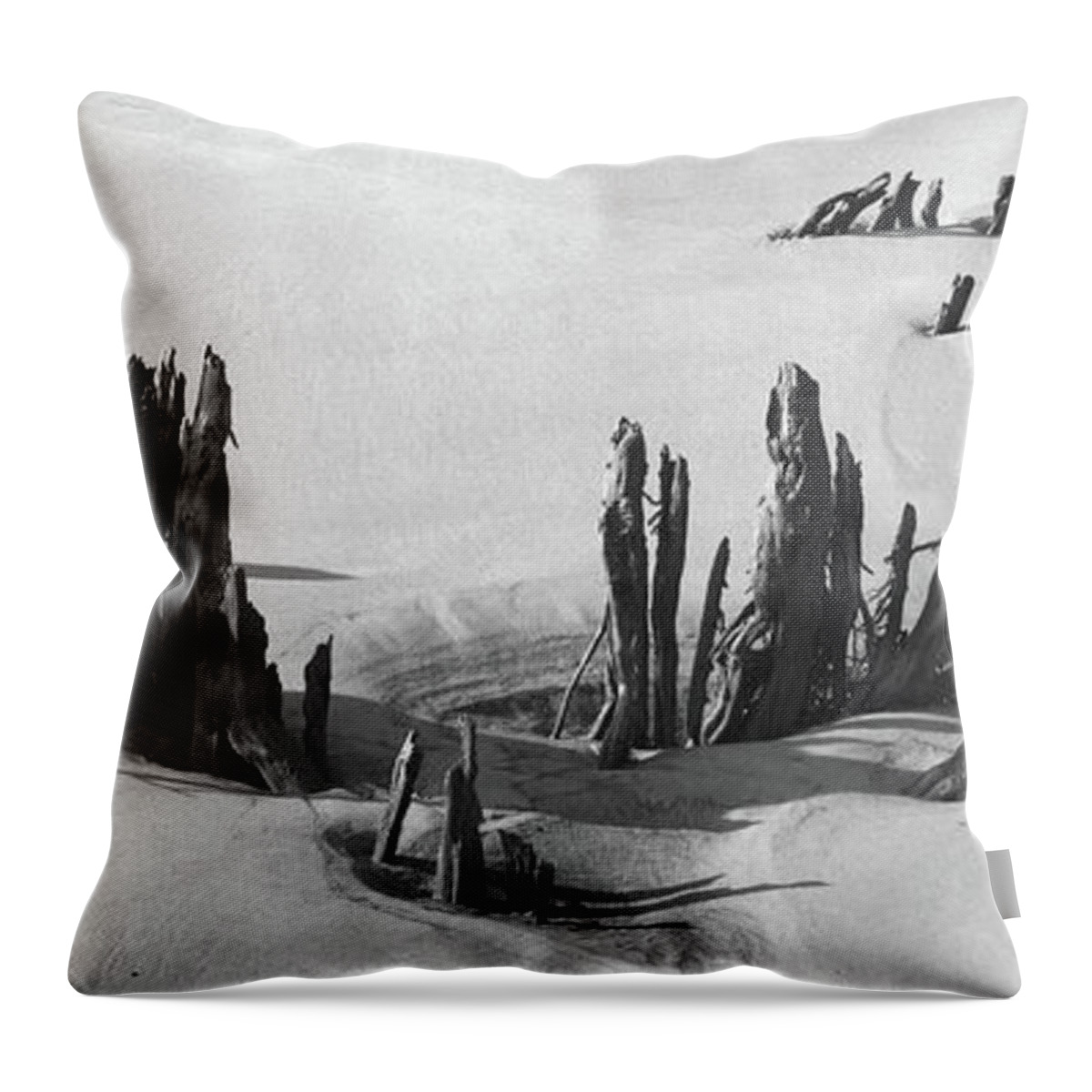 Beach Throw Pillow featuring the photograph Driftwood 3, Big Talbot Island, 2005 by John Simmons