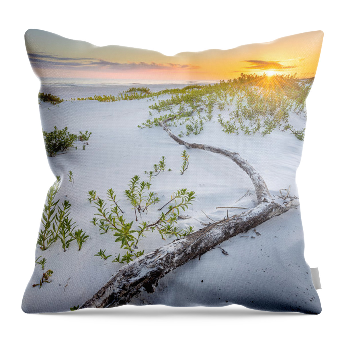 Beach Throw Pillow featuring the photograph Driftwood At The Gulf Islands National Seashore Florida by Jordan Hill