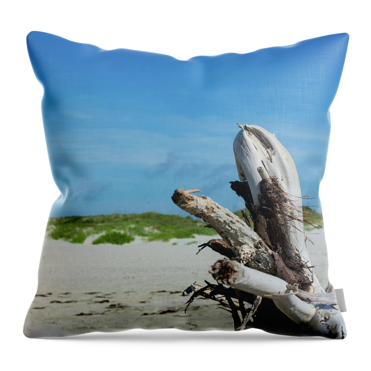 Driftwood Throw Pillow featuring the photograph Driftwood Sculpture on North Point by Liz Albro